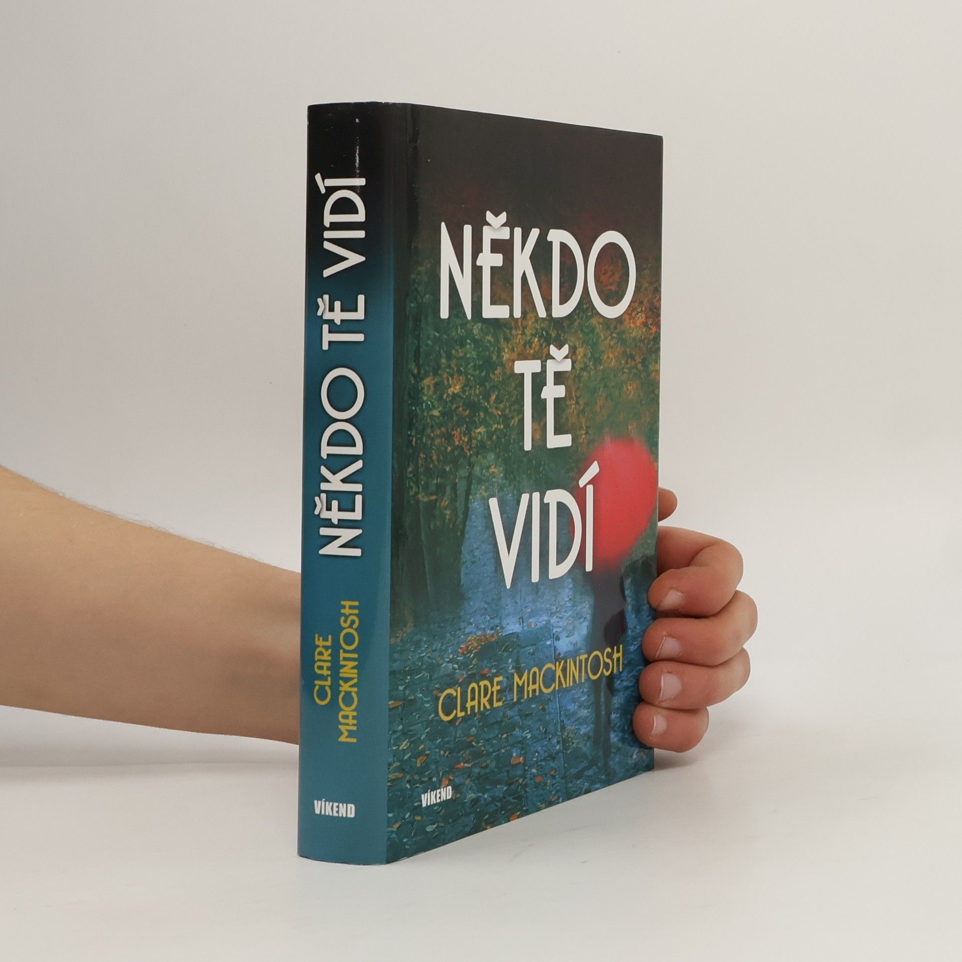 Clare Mackintosh Někdo tě vidí