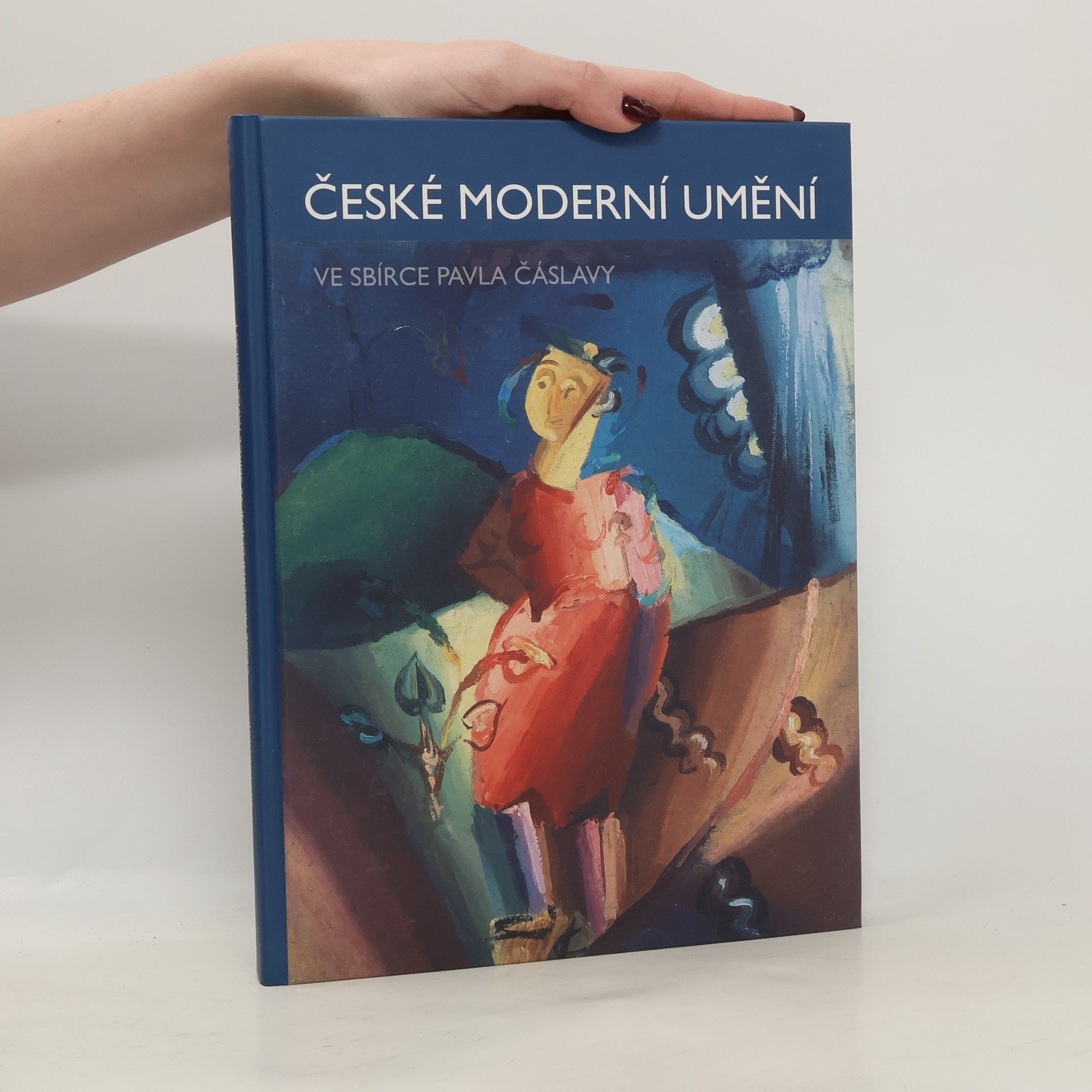 Jiří Hlušička České moderní umění ve sbírce Pavla Čáslavy
