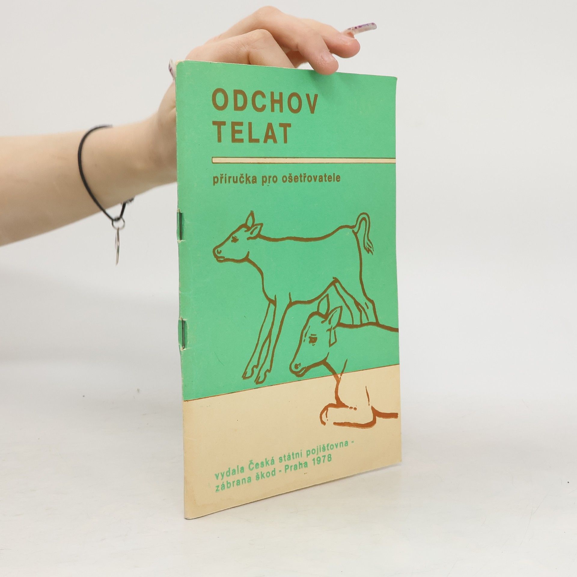 Jan Štumpf Odchov telat