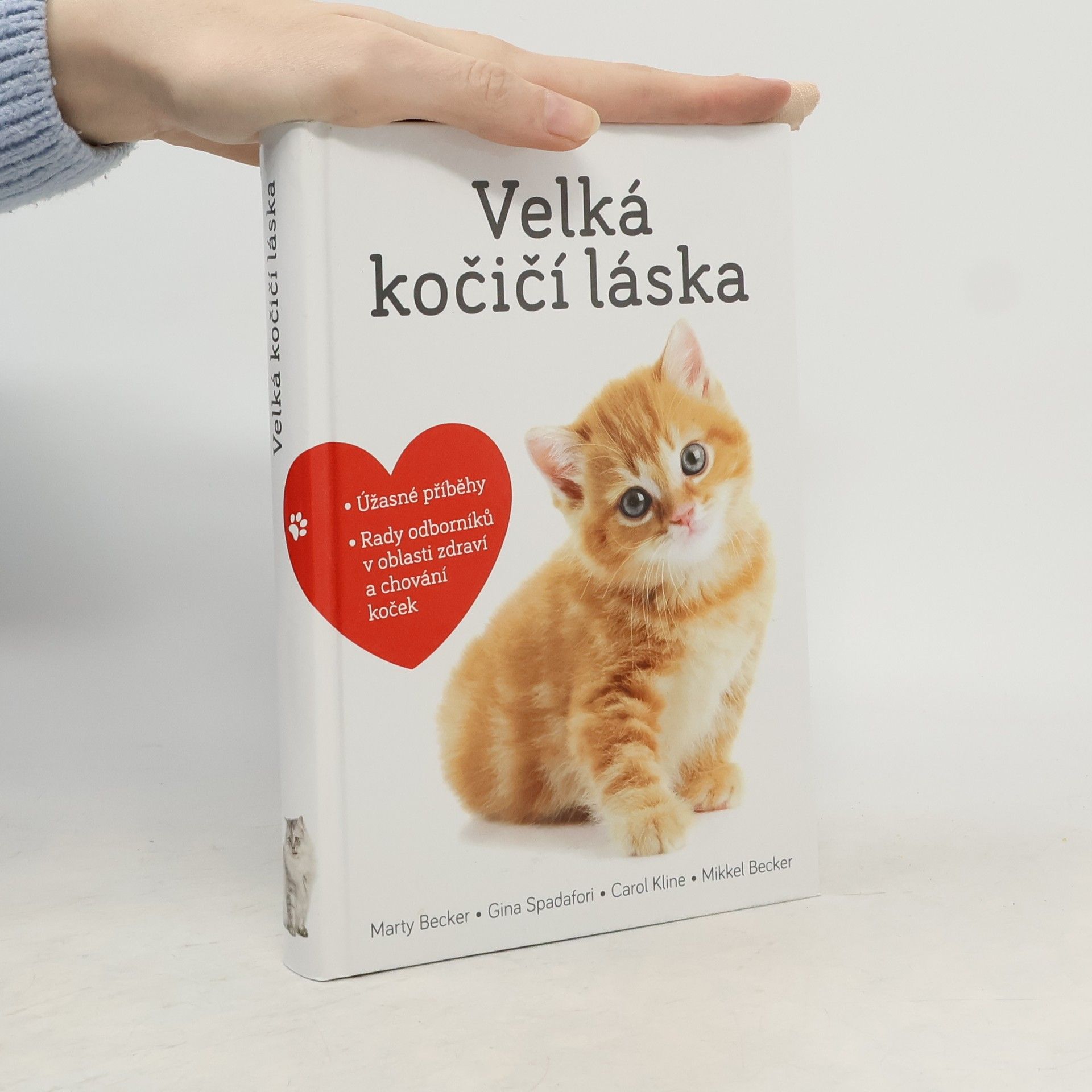 Velká kočičí láska