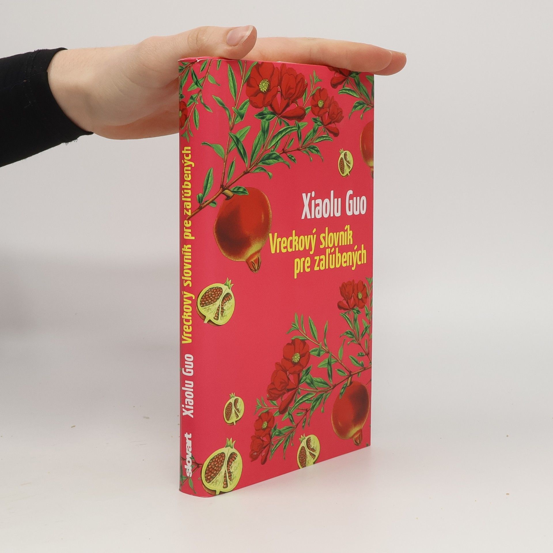 Guo Xiaolu Vreckový slovník pre zaľúbených