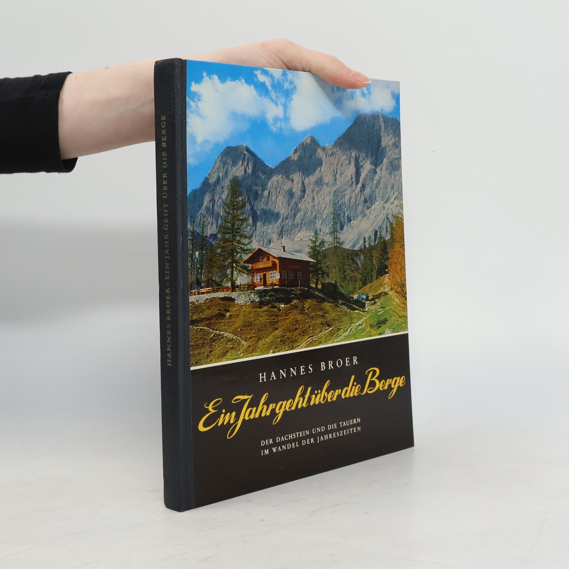 Hannes Broer Ein Jahr geht über die Berge