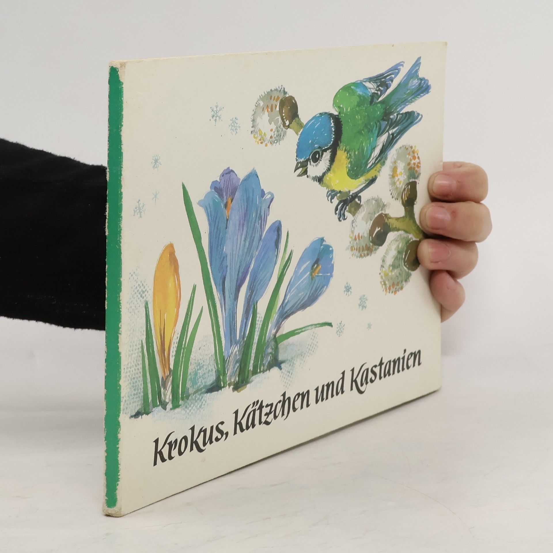 Kolektiv autorů Krokus, Kätzchen und Kastanien