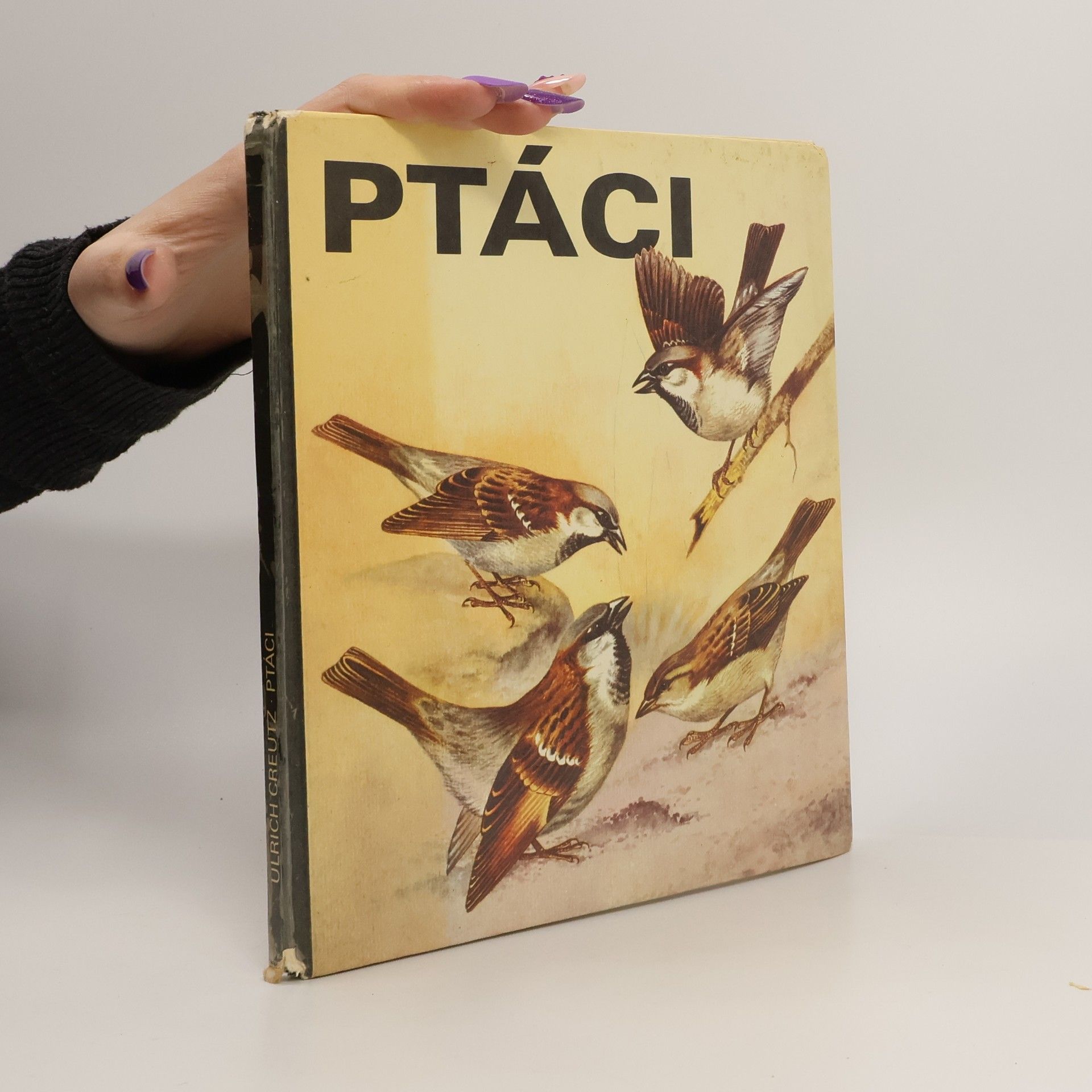 Ulrich Creutz Ptáci