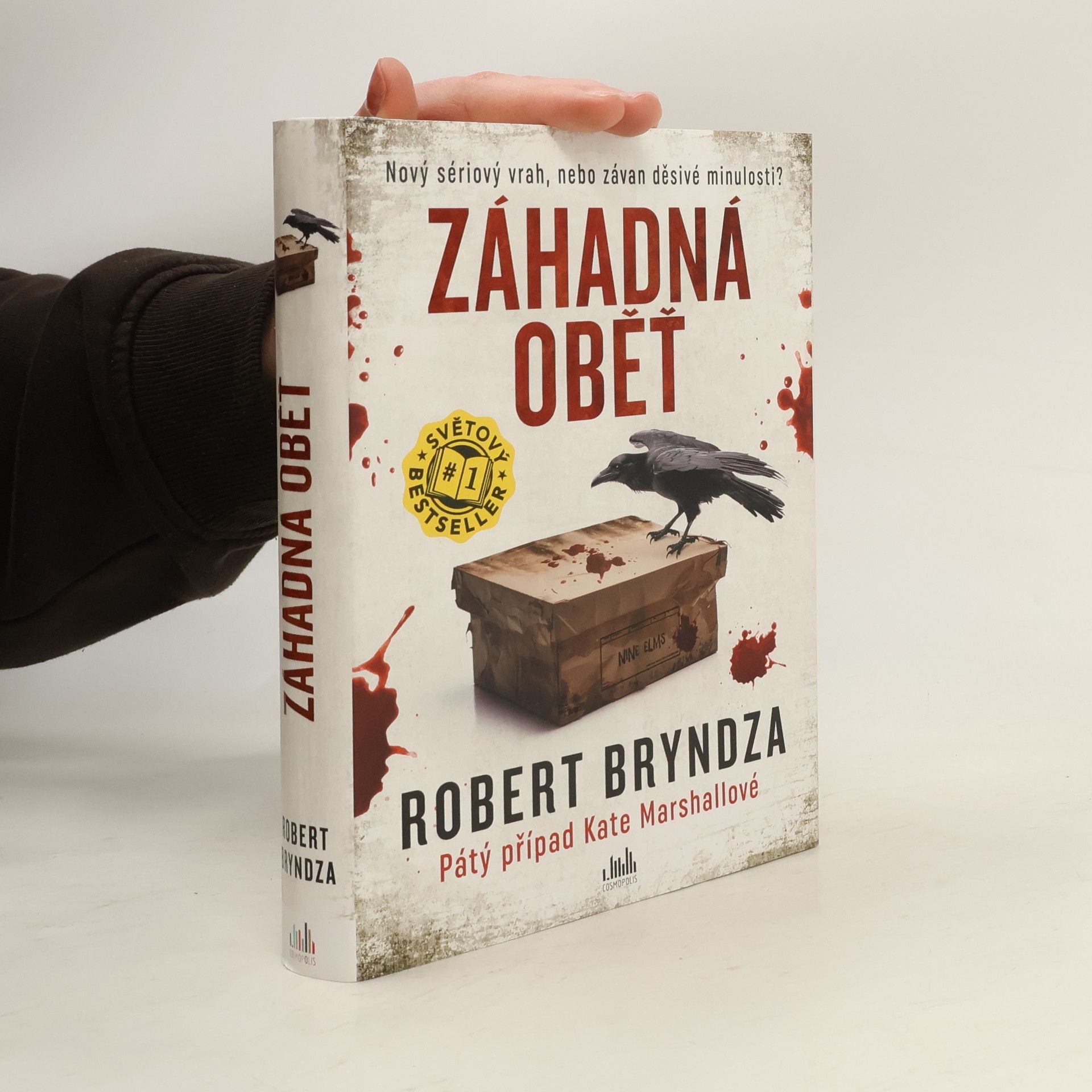 Robert Bryndza Záhadná oběť