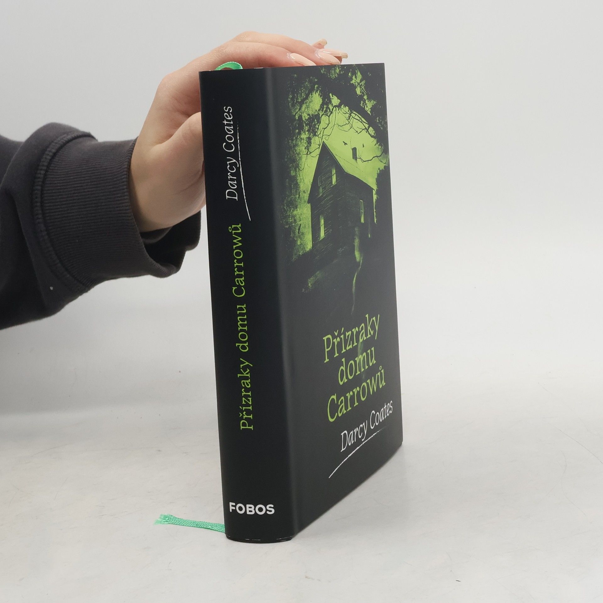Darcy Coates Přízraky domu Carrowů