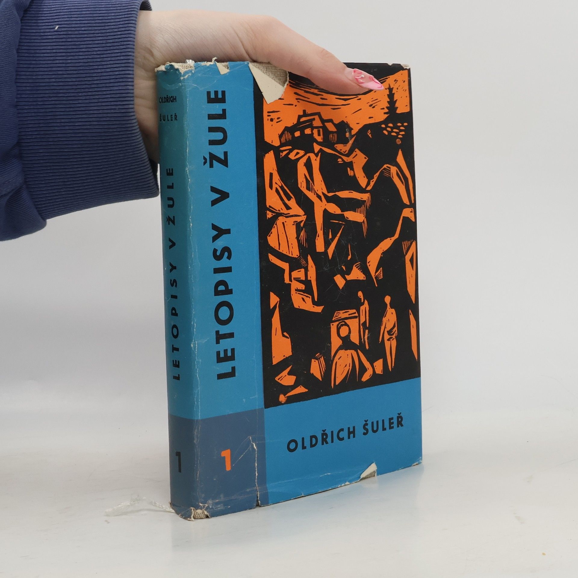 Oldřich Šuleř Letopisy v žule I.