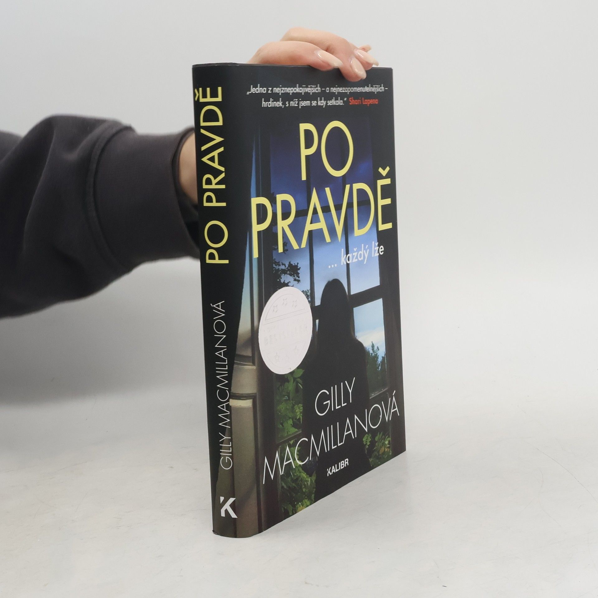 Gilly Macmillan Po pravdě ...každý lže