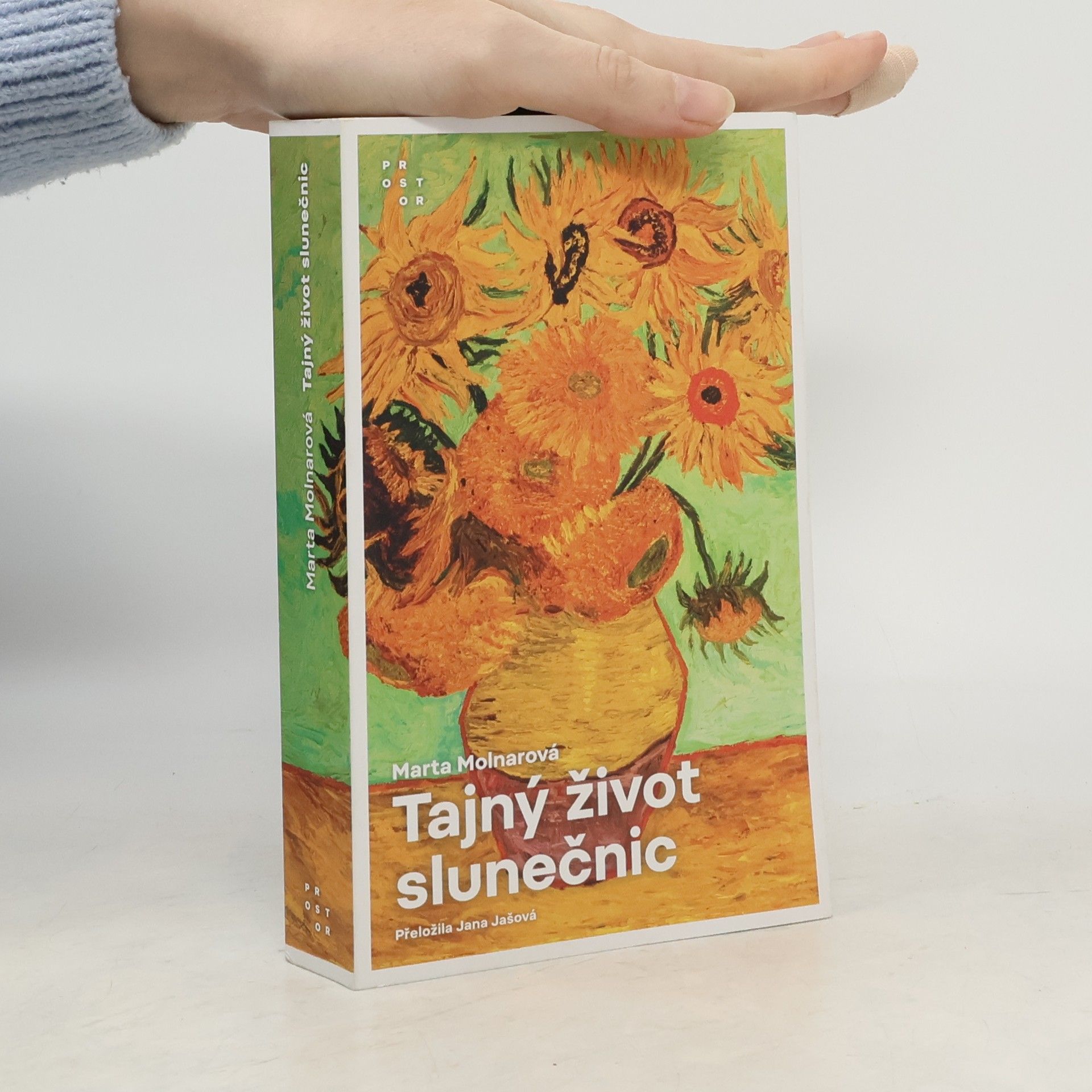 Marta Molnar Tajný život slunečnic