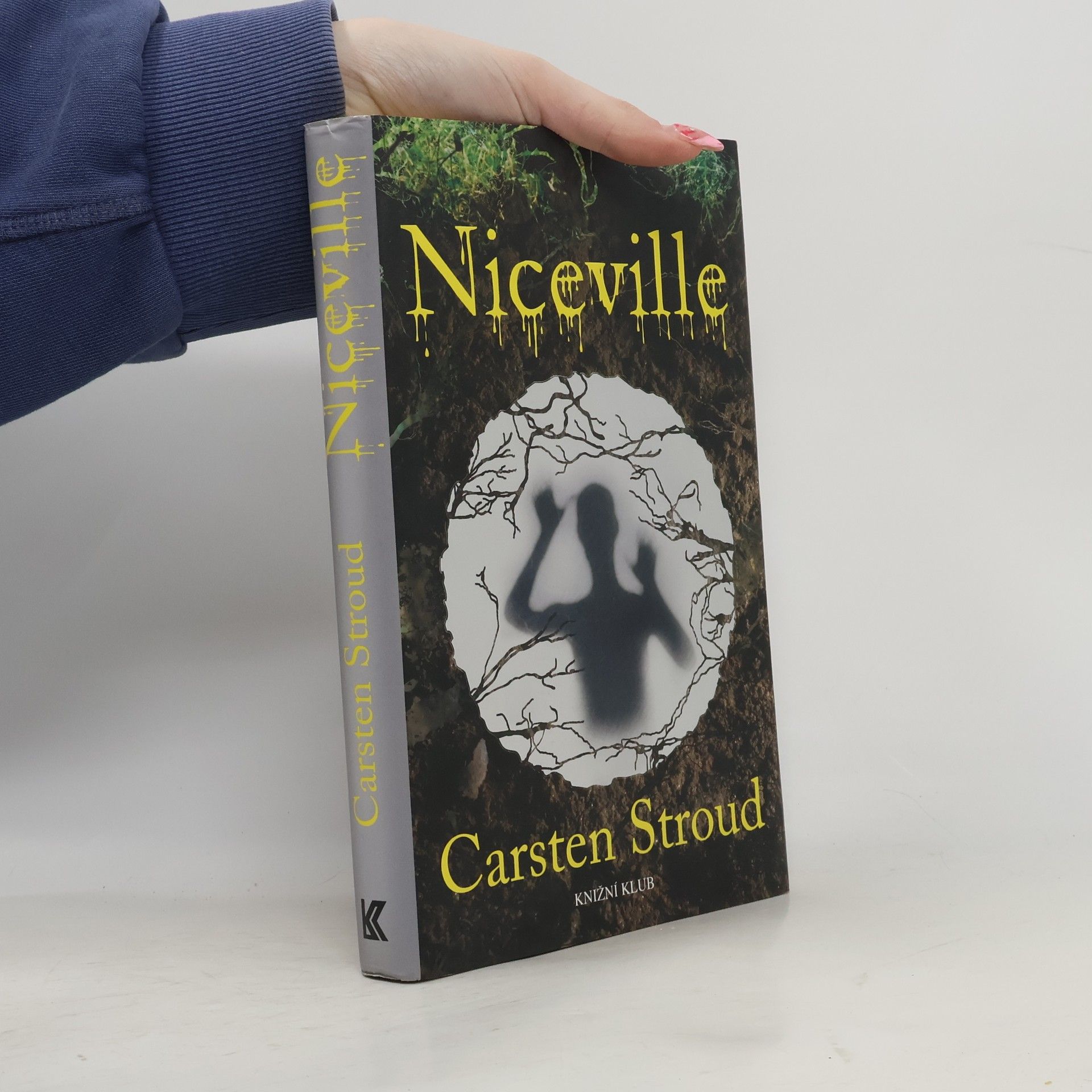 David Stone Niceville