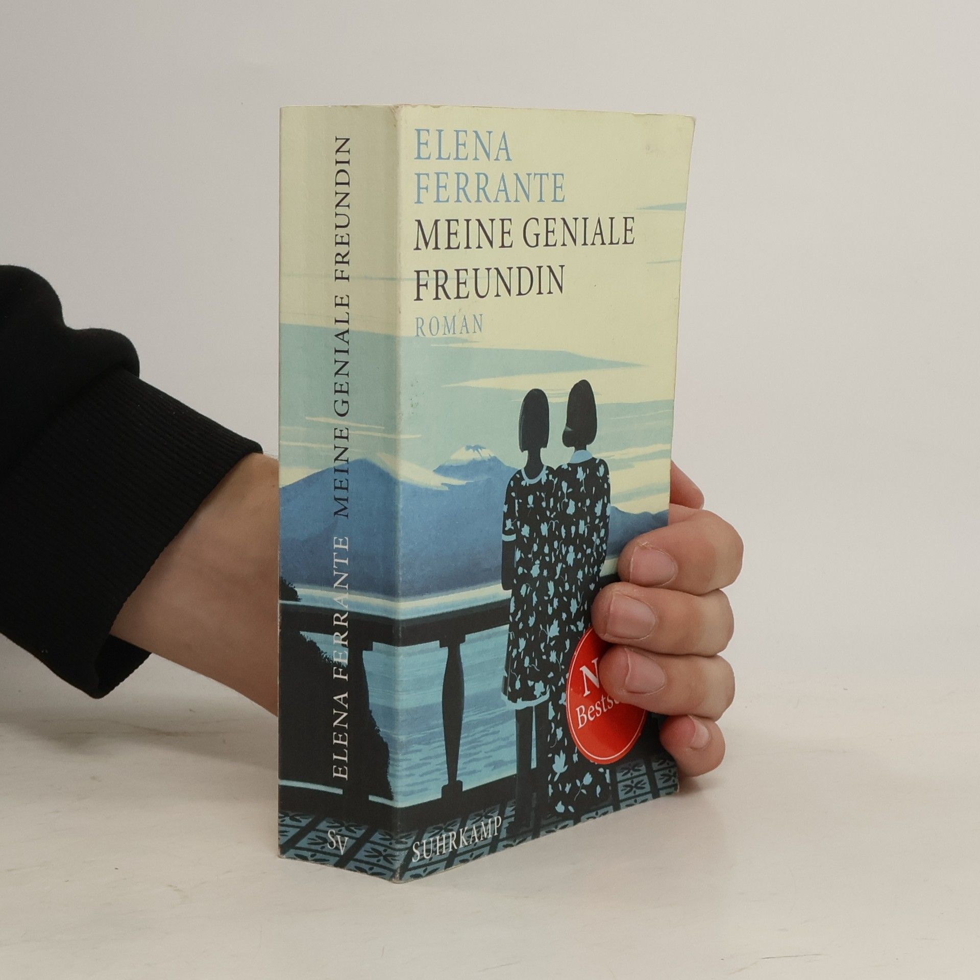 Elena Ferrante Meine geniale Freundin