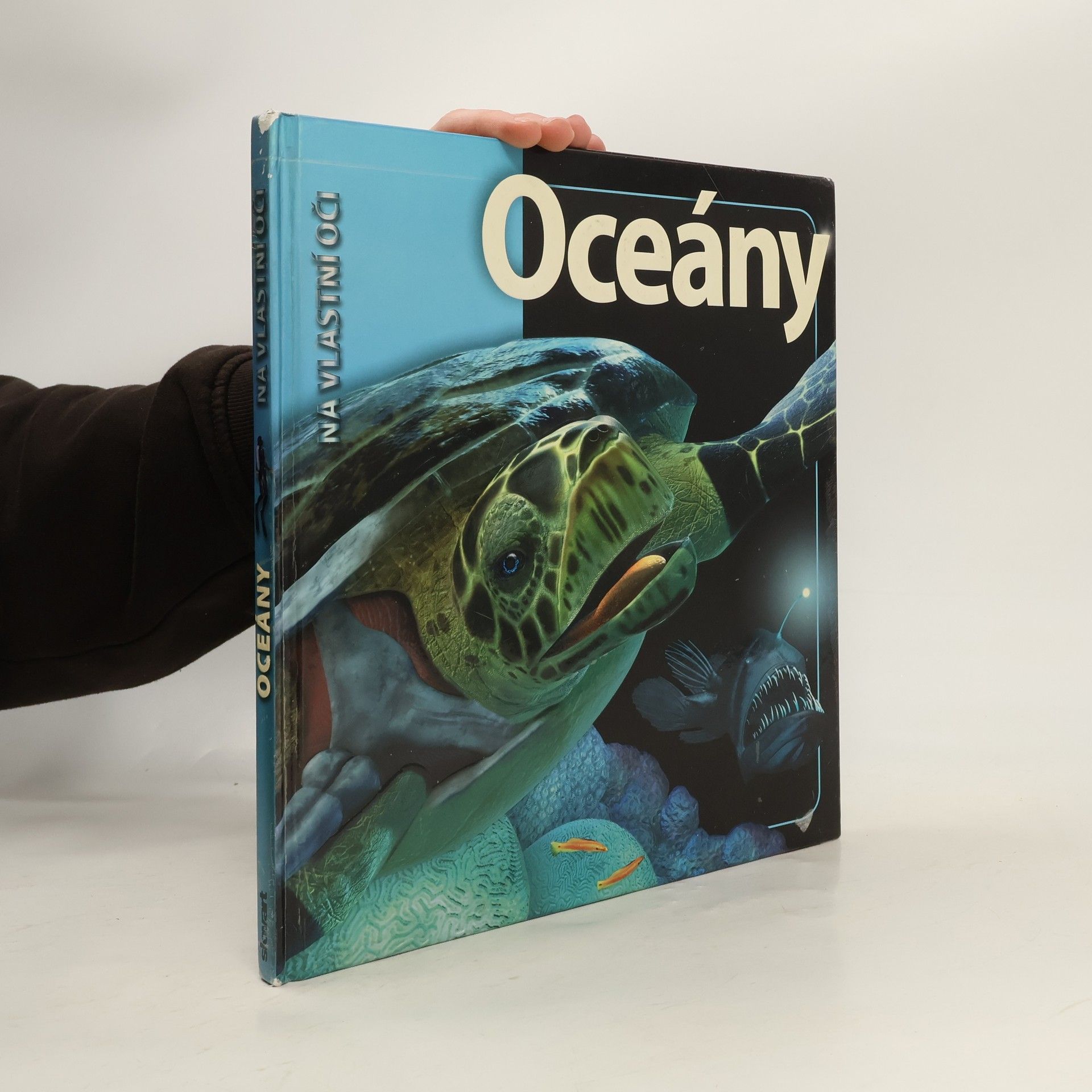 Beverly McMillan Oceány