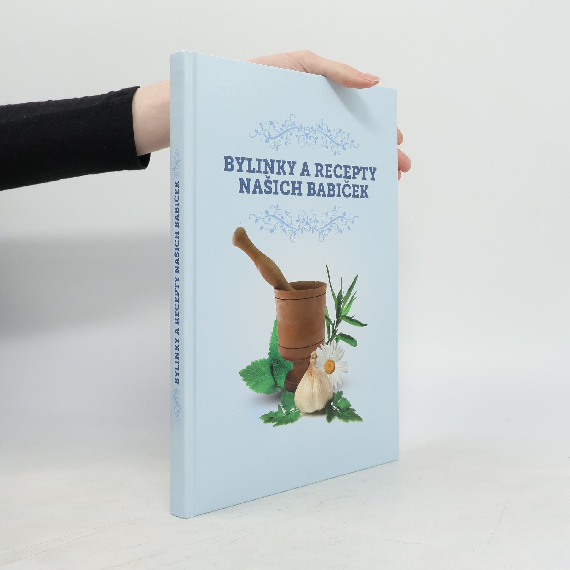 Kolektív autorov Bylinky a recepty našich babiček