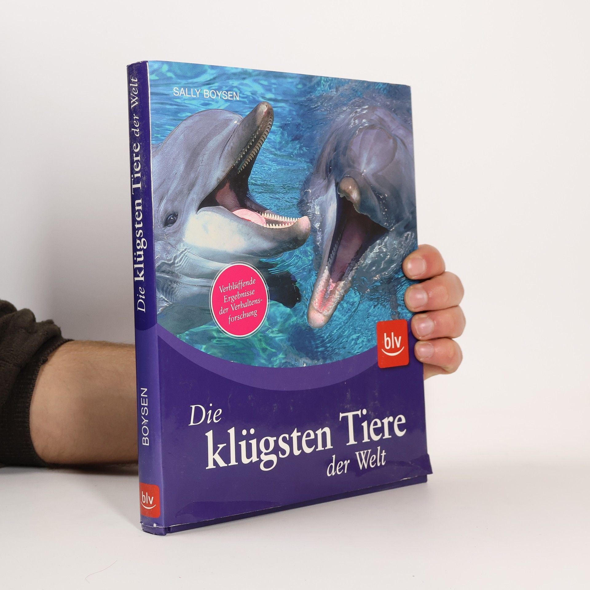 Sally Boysen Die klügsten Tiere der Welt