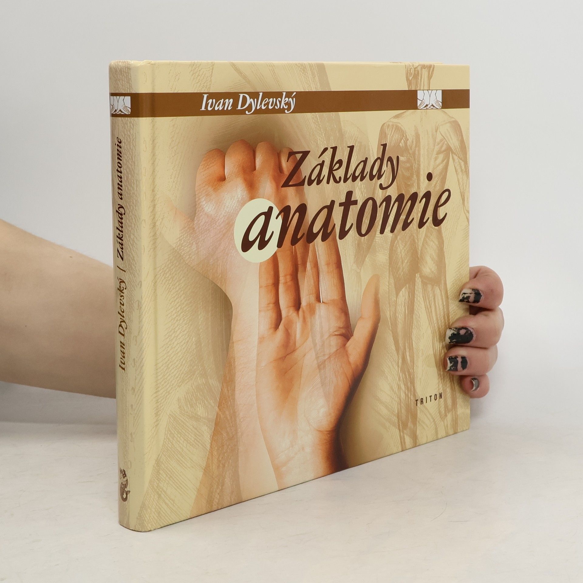 Základy anatomie