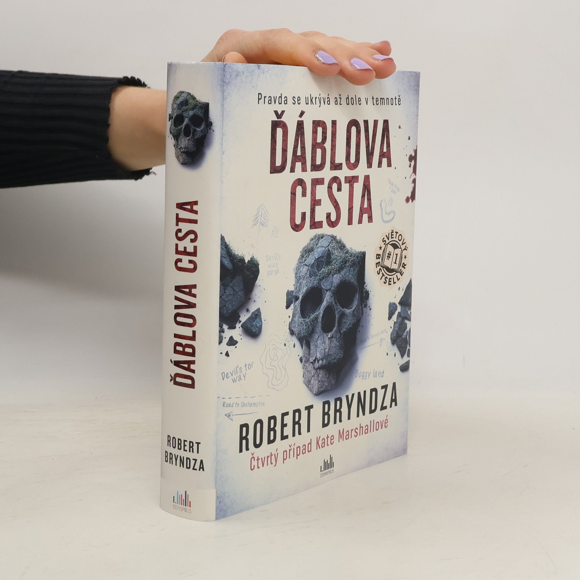 Robert Bryndza Ďáblova cesta