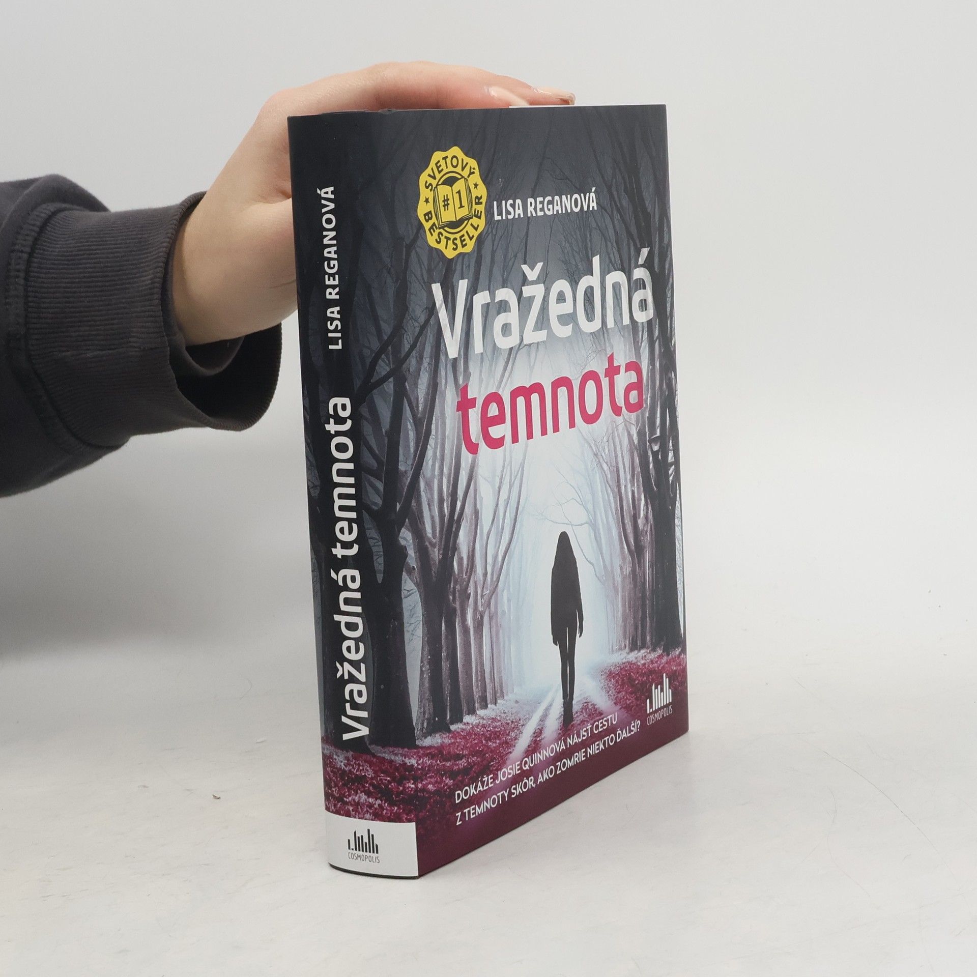 Lisa Regan Vražedná temnota