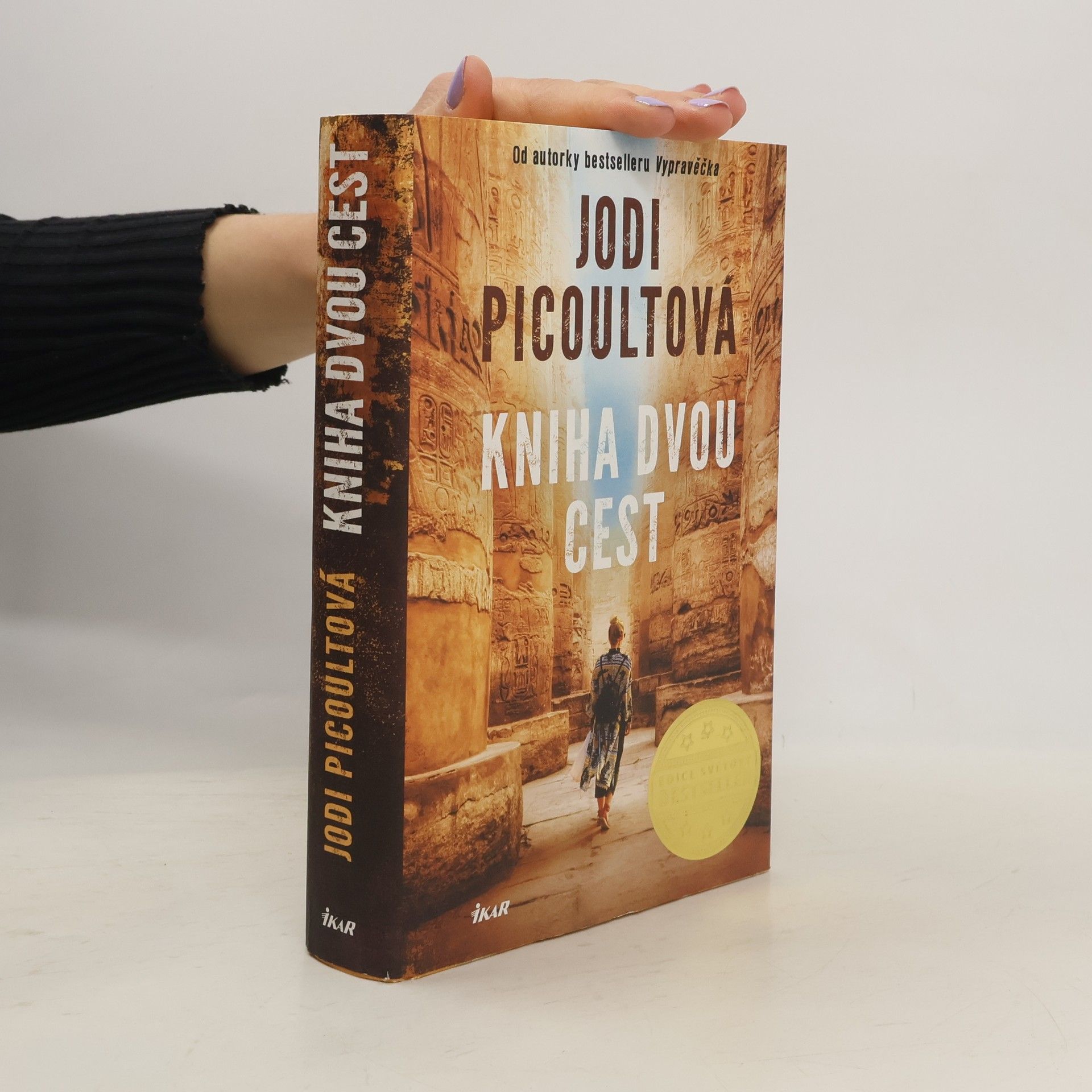 Jodi Picoult Kniha dvou cest