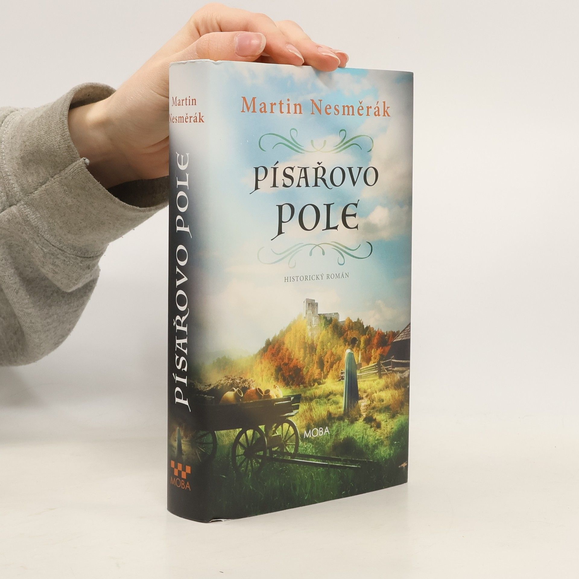 Martin Nesměrák Písařovo pole