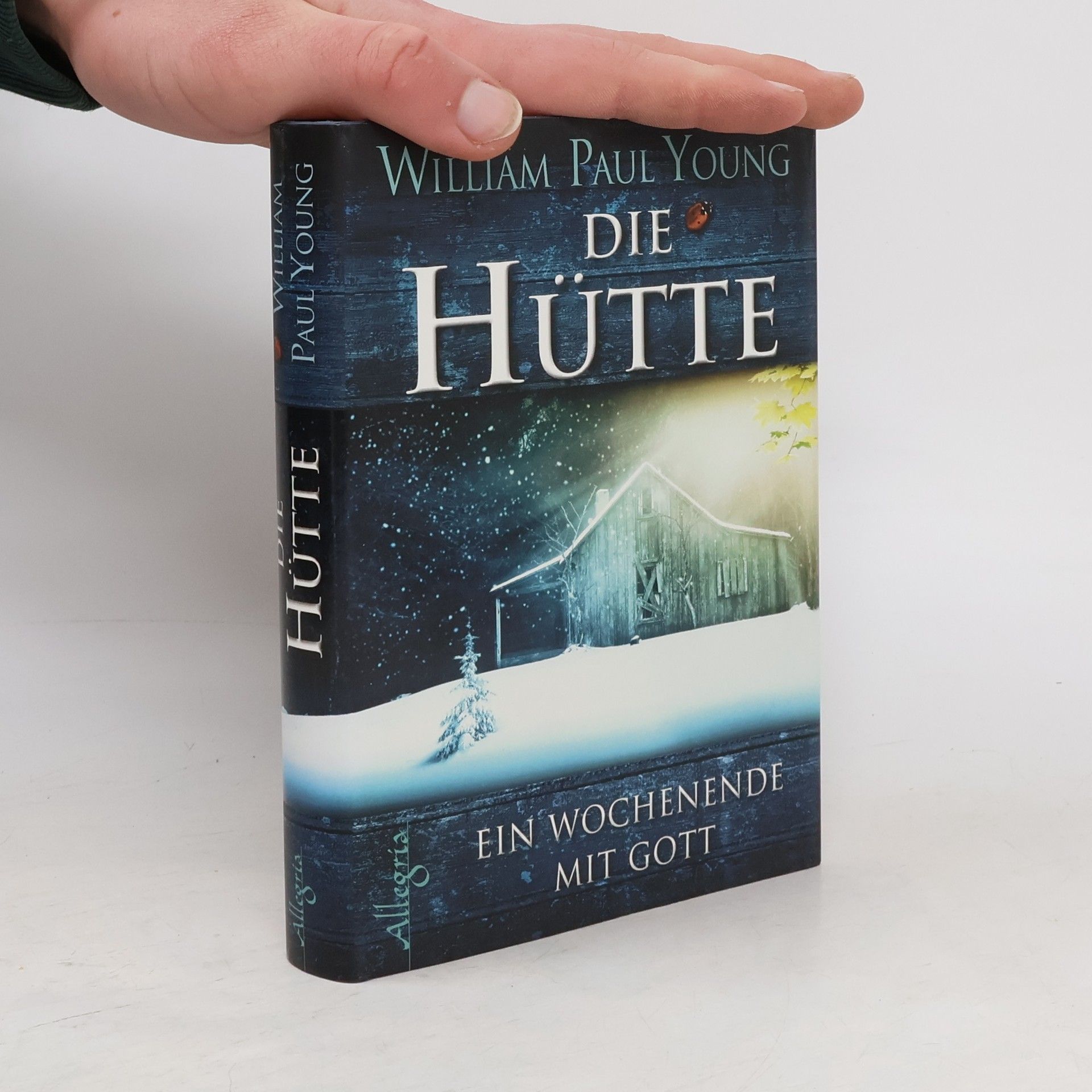William P. Young Die Hütte