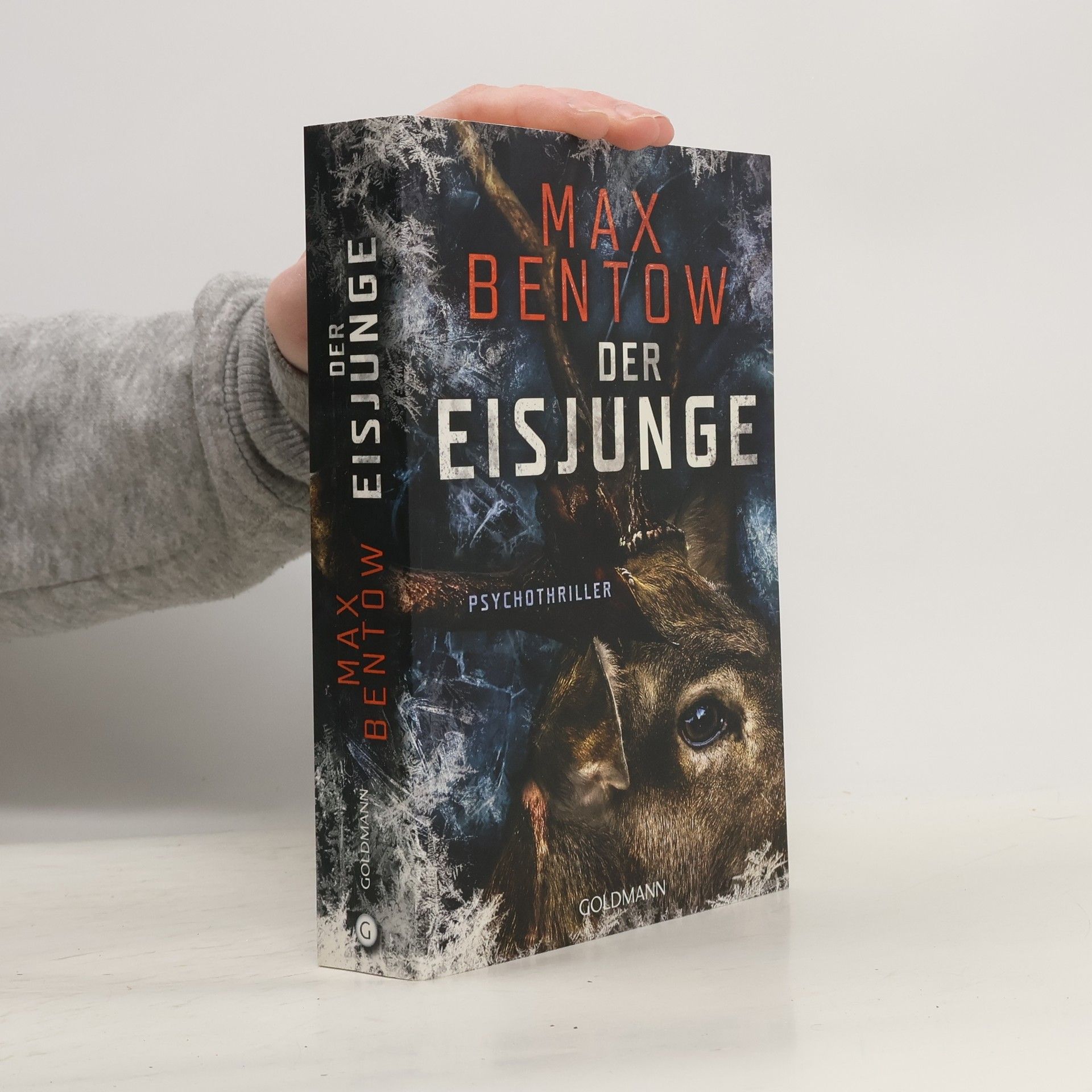 Max Bentow Der Eisjunge