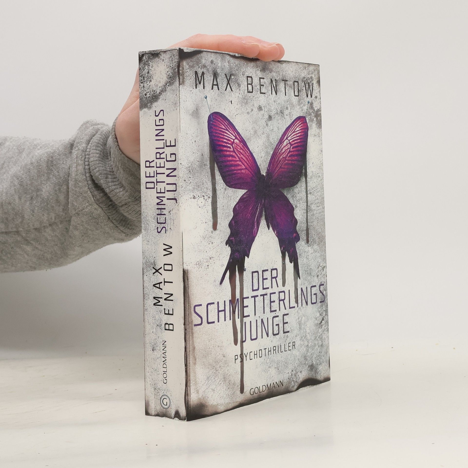Max Bentow Der Schmetterlingsjunge