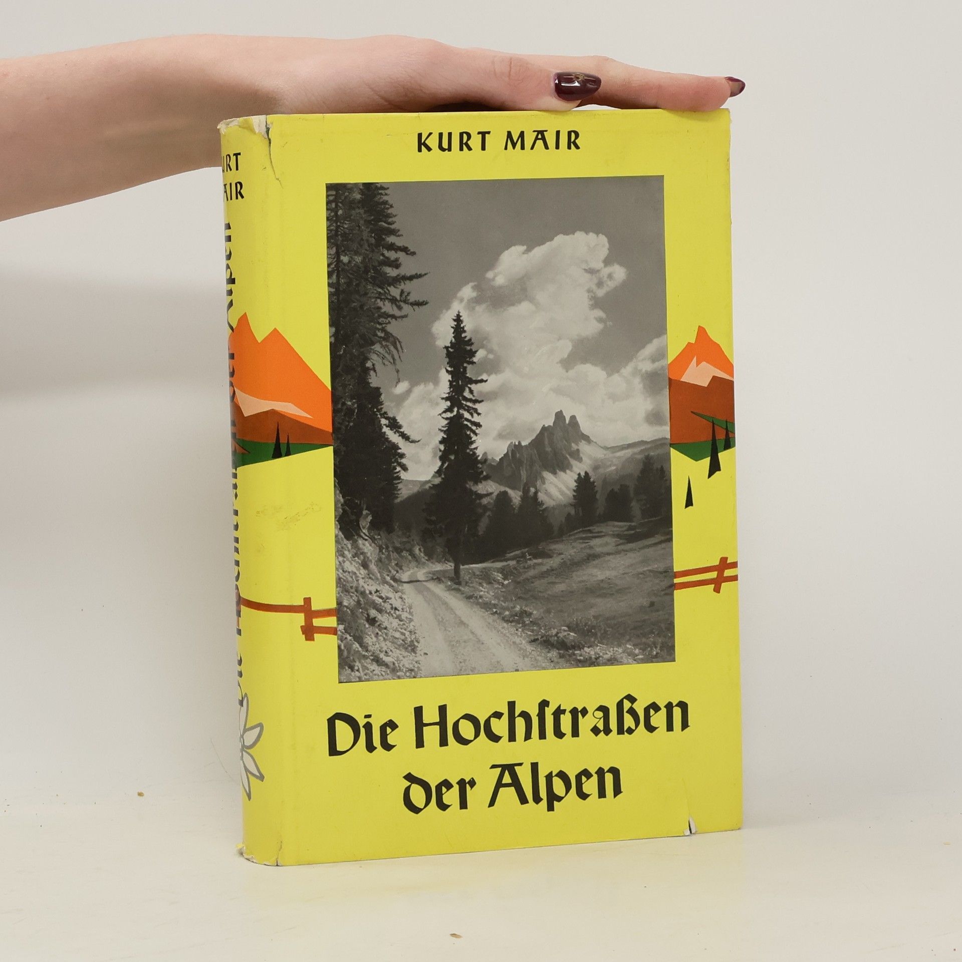 Die Hochstraßen der Alpen