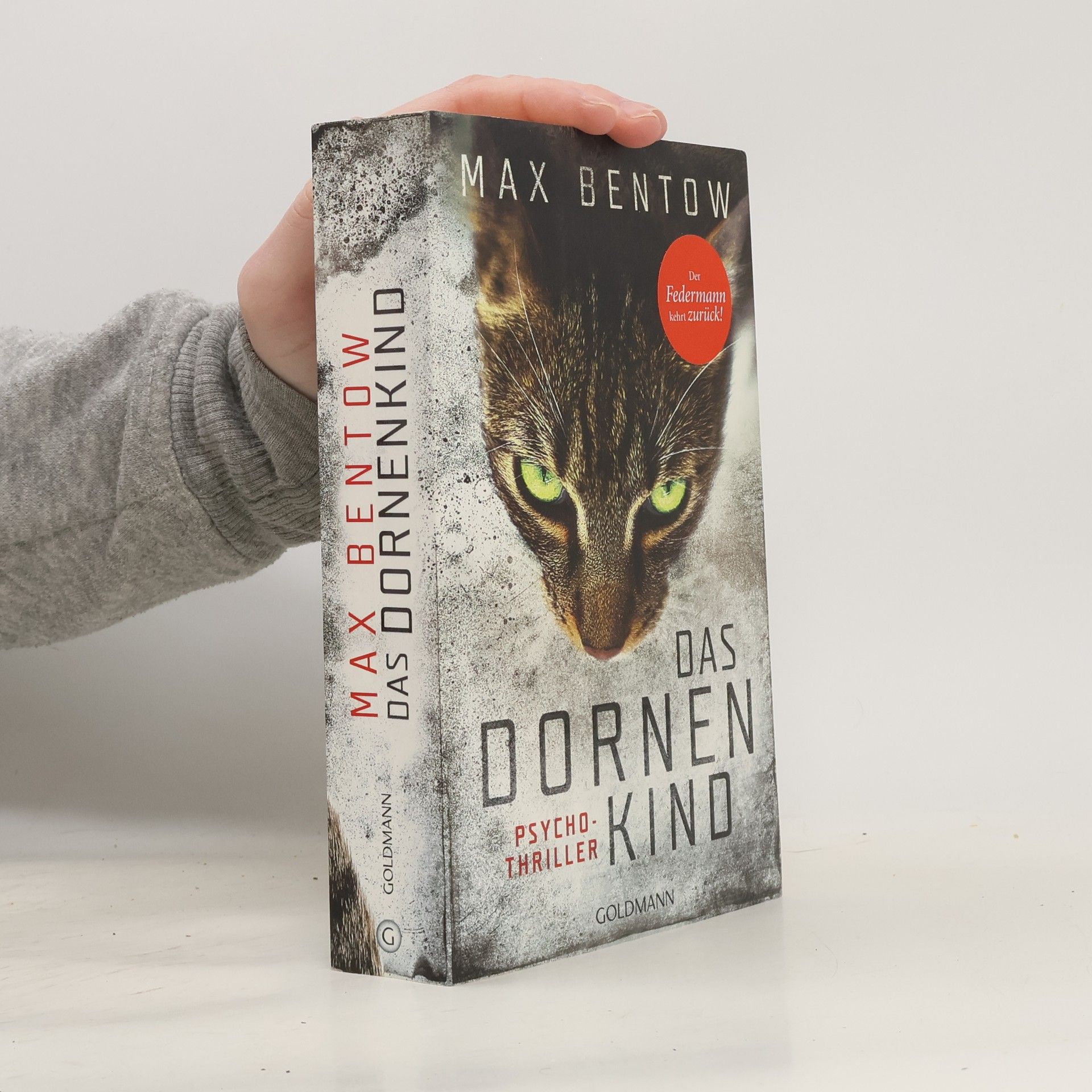 Max Bentow Das Dornenkind