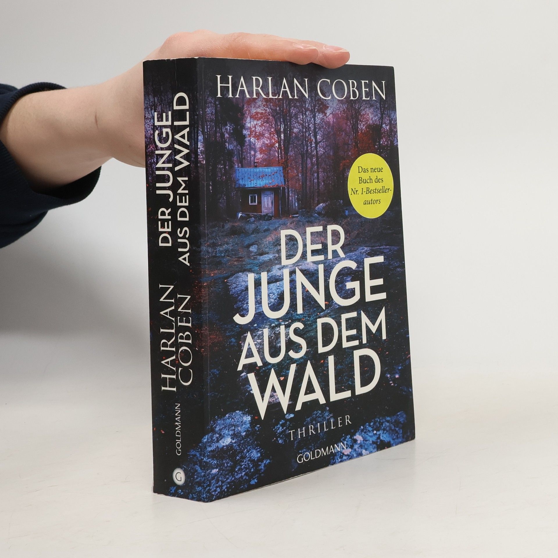 Harlan Coben Der Junge aus dem Wald