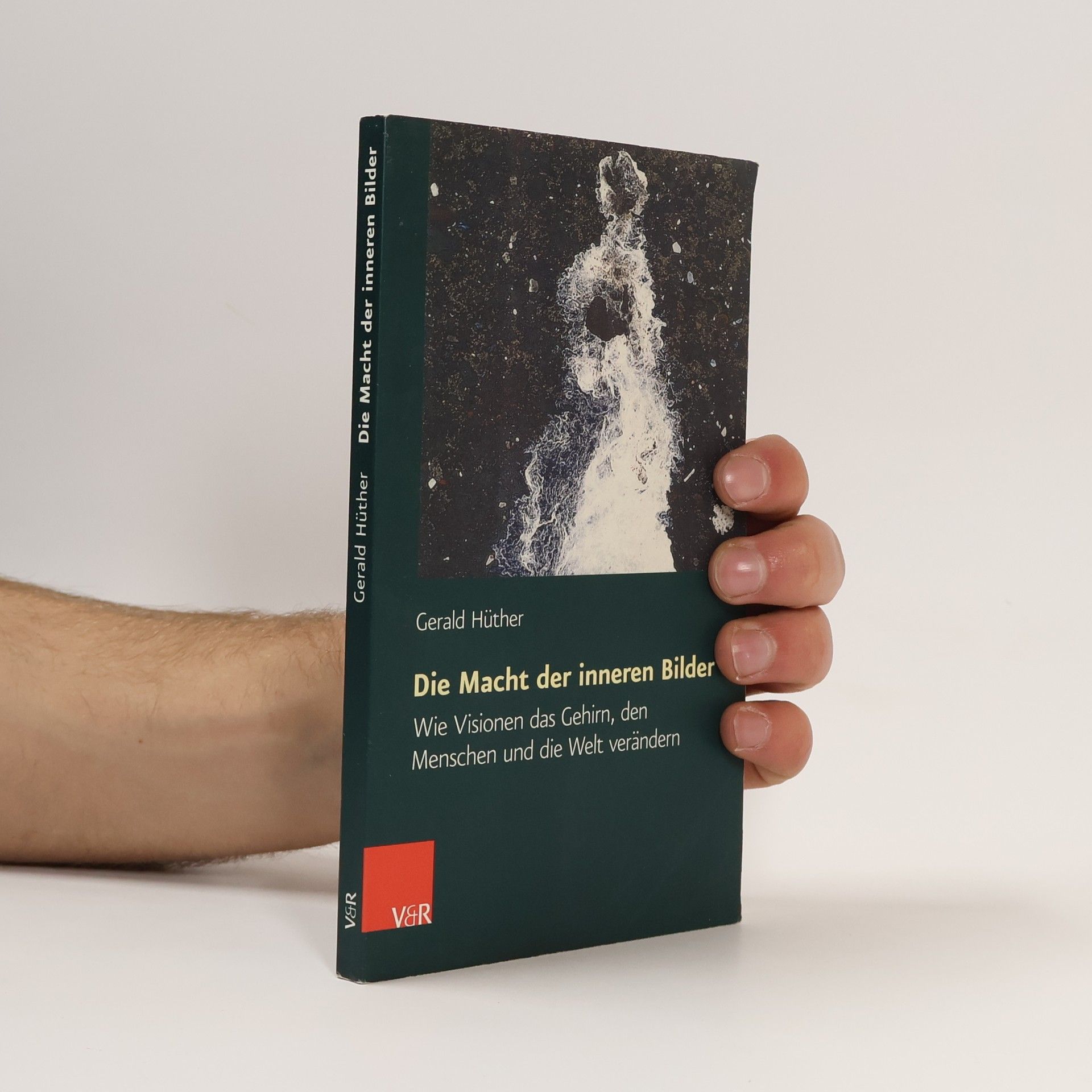 Gerald Hüther Die Macht der inneren Bilder