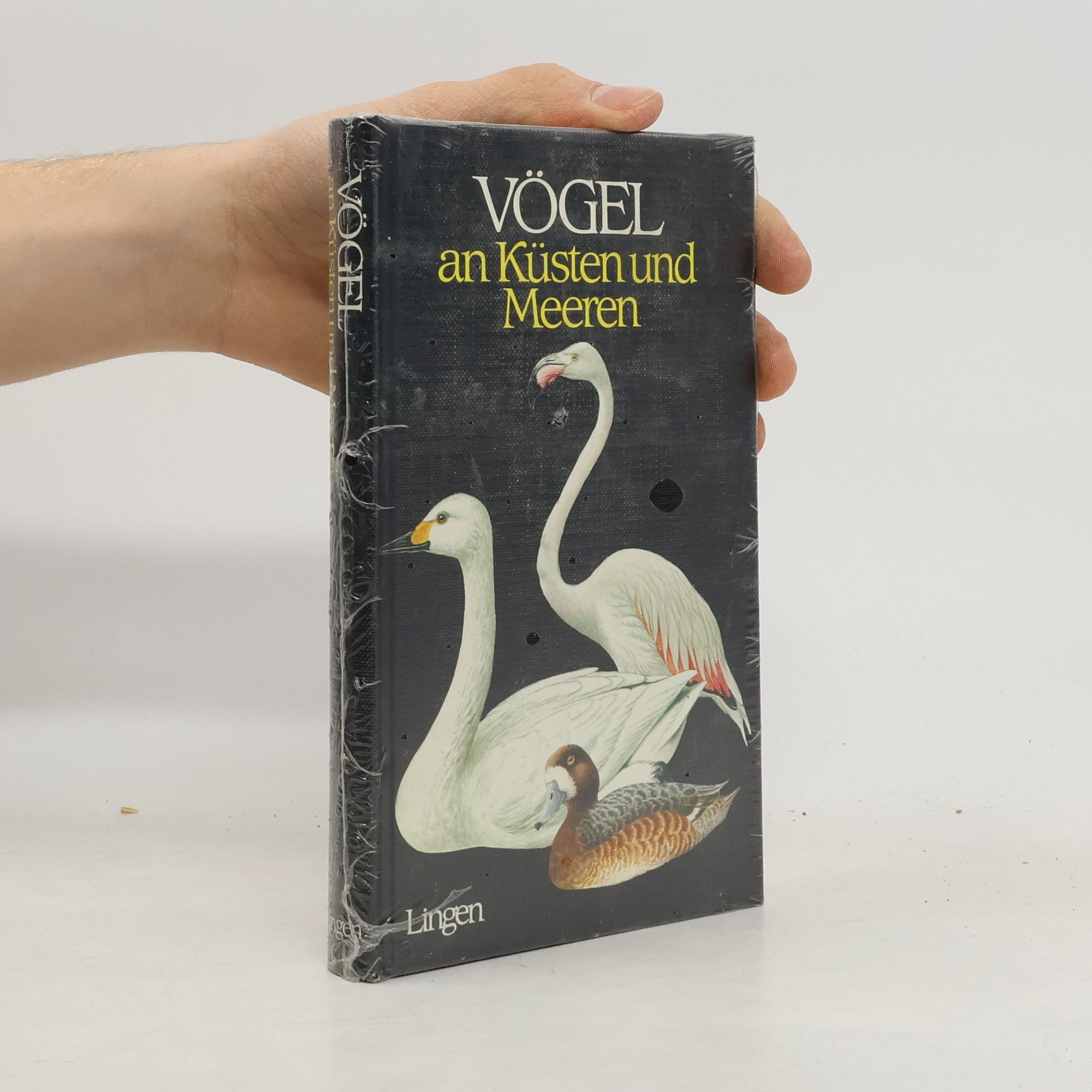 J. Felix Vögel an Küsten und Meeren