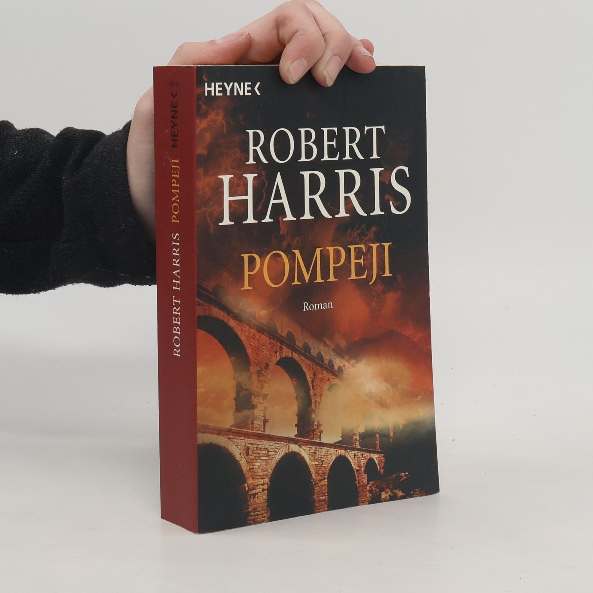 Robert Harris Pompeji