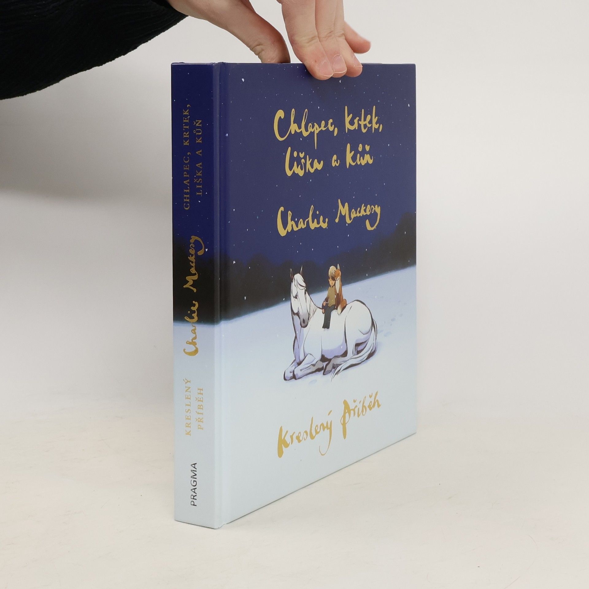 Charlie Mackesy Chlapec, krtek, liška a kůň : kreslený příběh