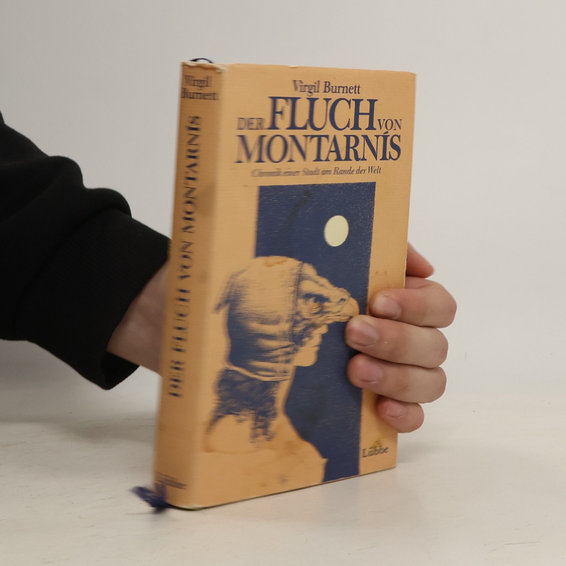 Virgil Burnett Der Fluch von Montarnís