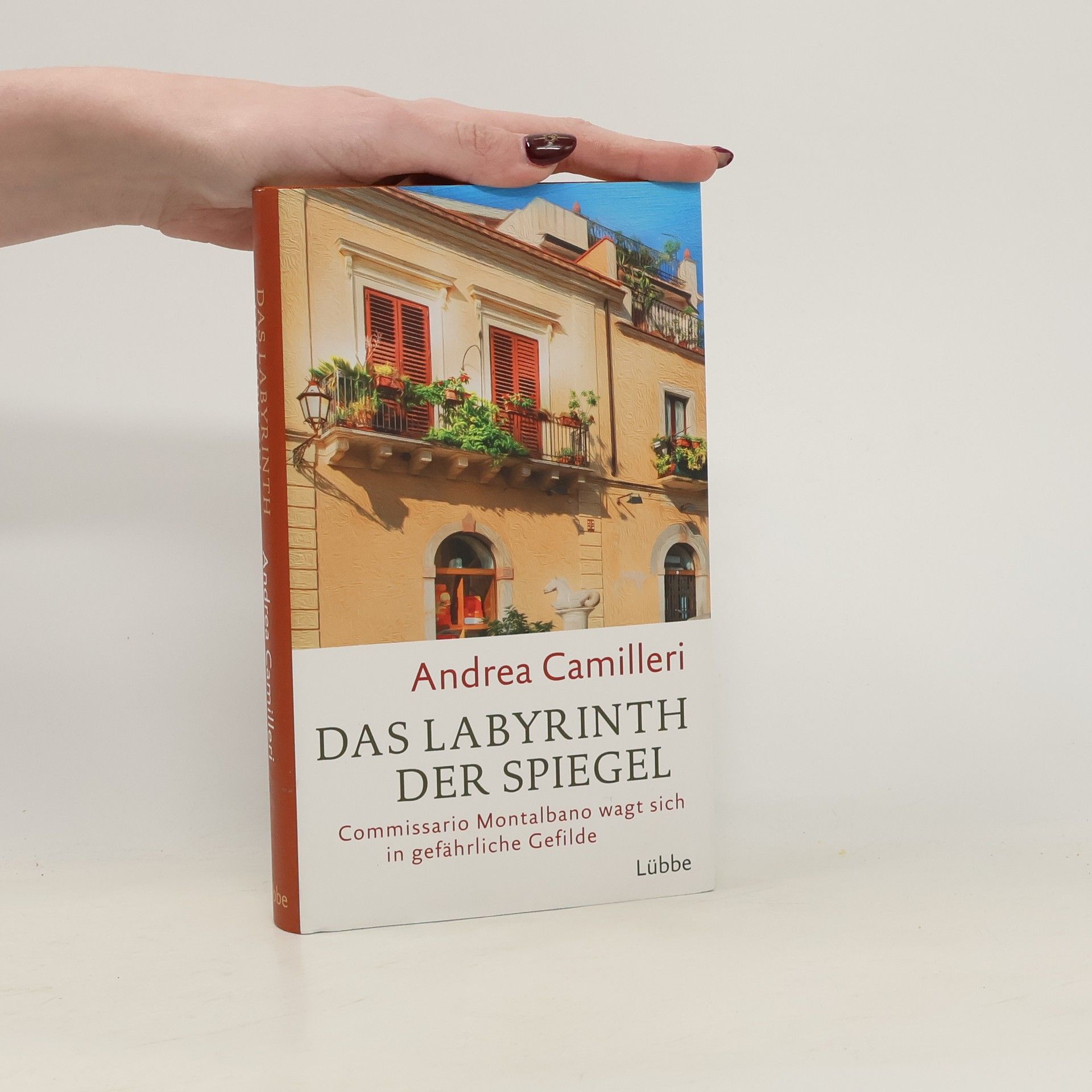 Das Labyrinth der Spiegel