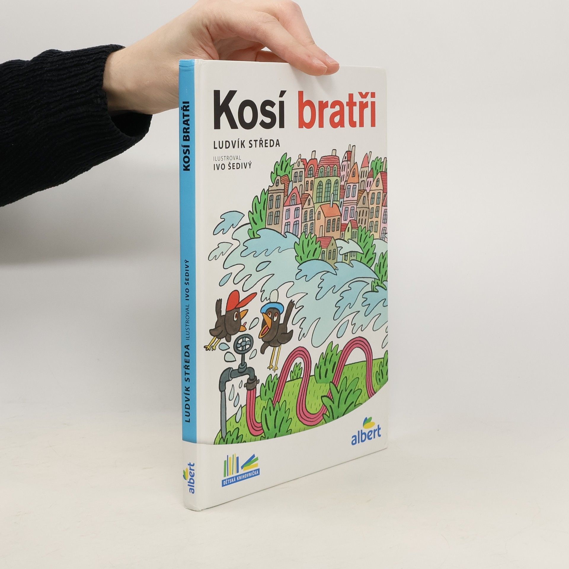 Ludvík Středa Kosí bratři