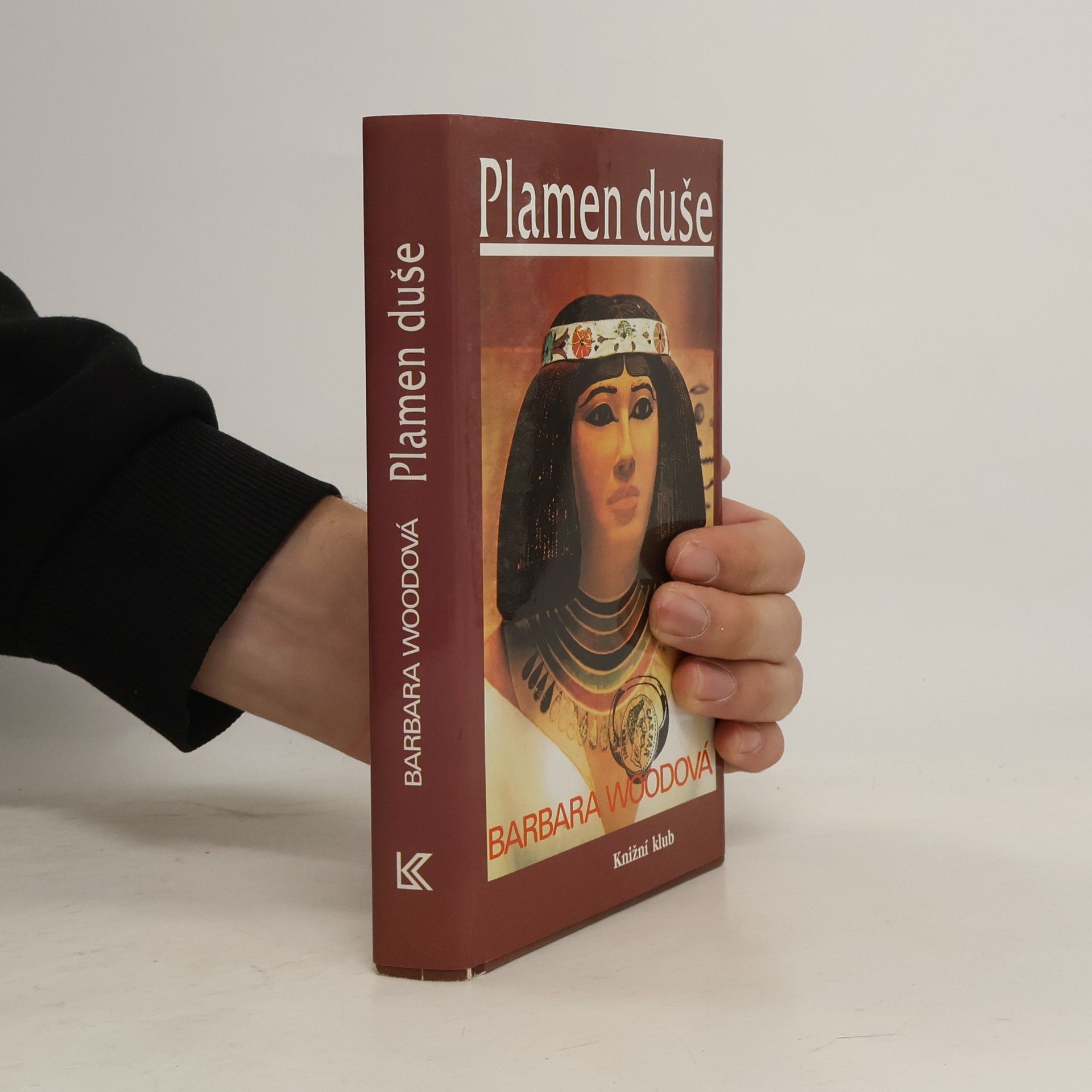 Barbara Wood Plamen duše