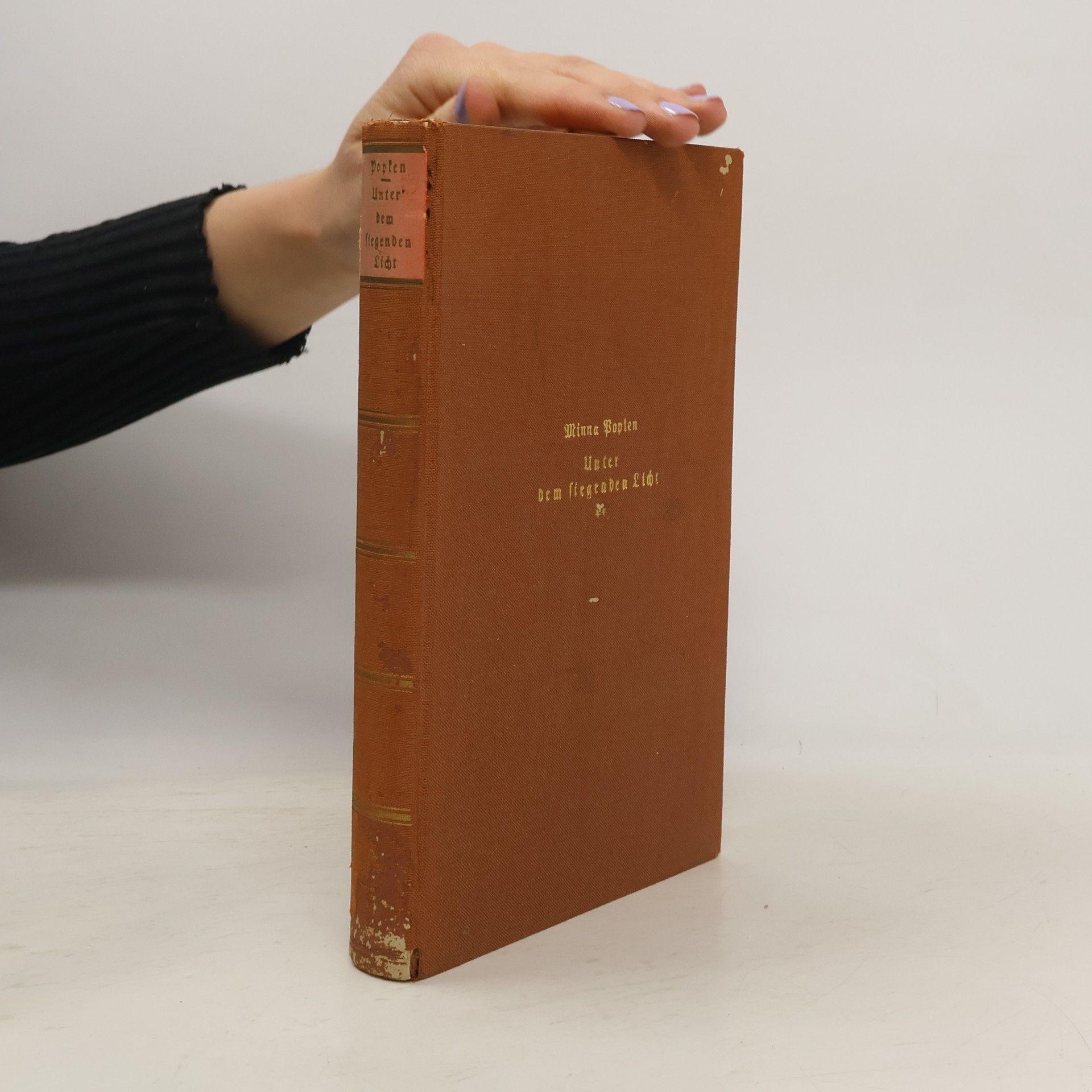 Minna Popken Unter dem siegenden Licht