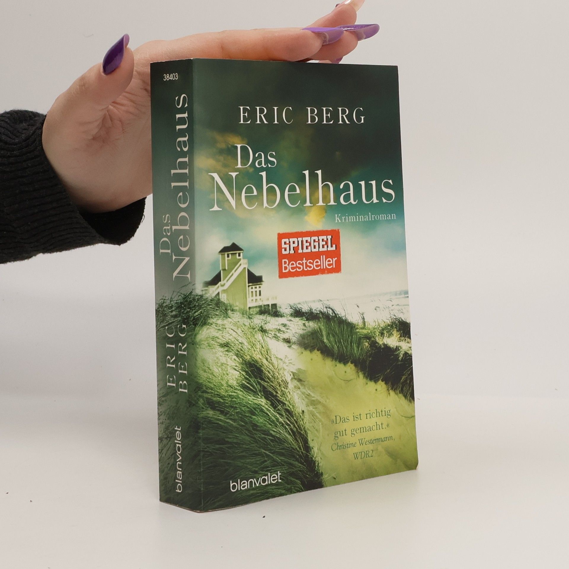 Eric Berg Das Nebelhaus