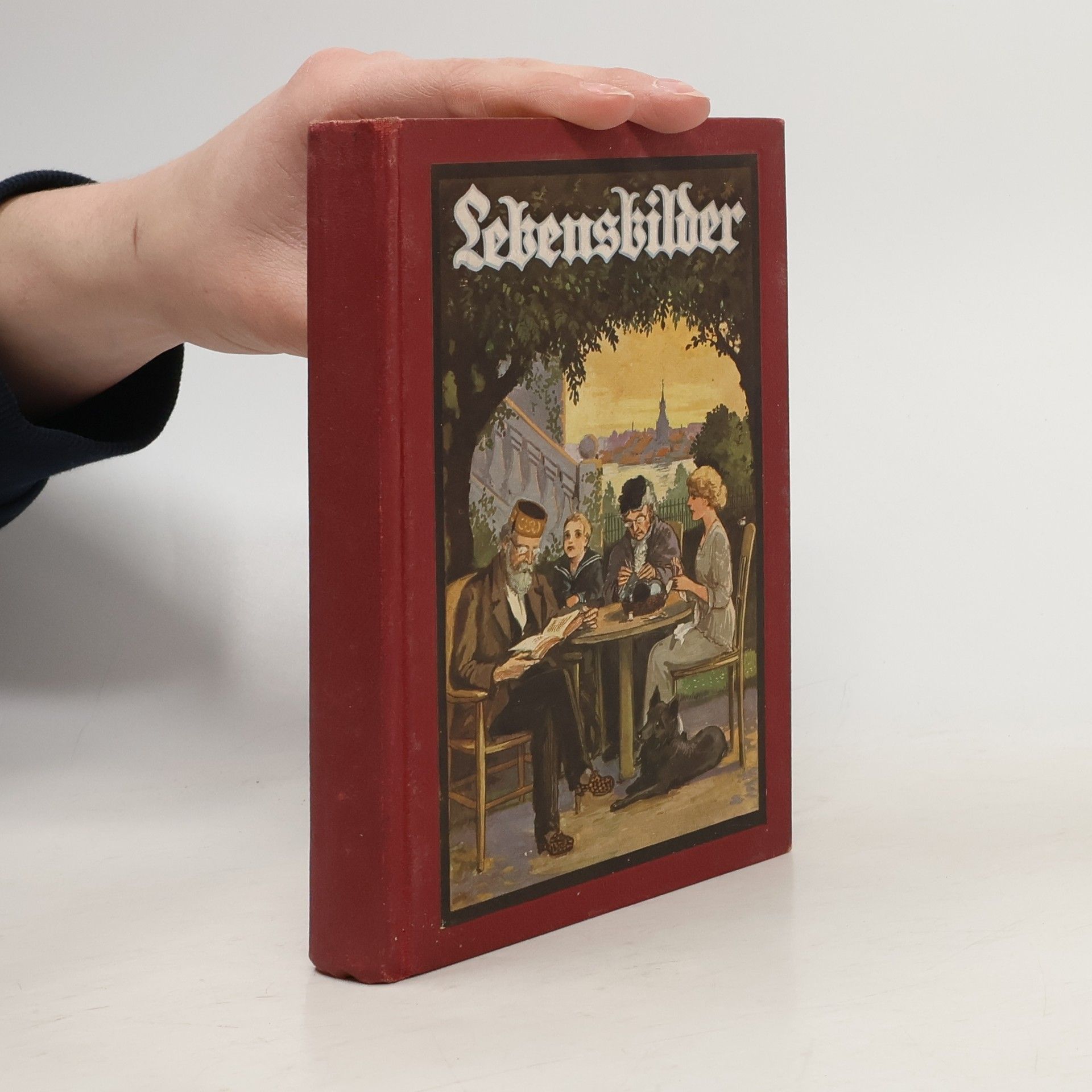 Kolektiv autorů Lebensbilder 3