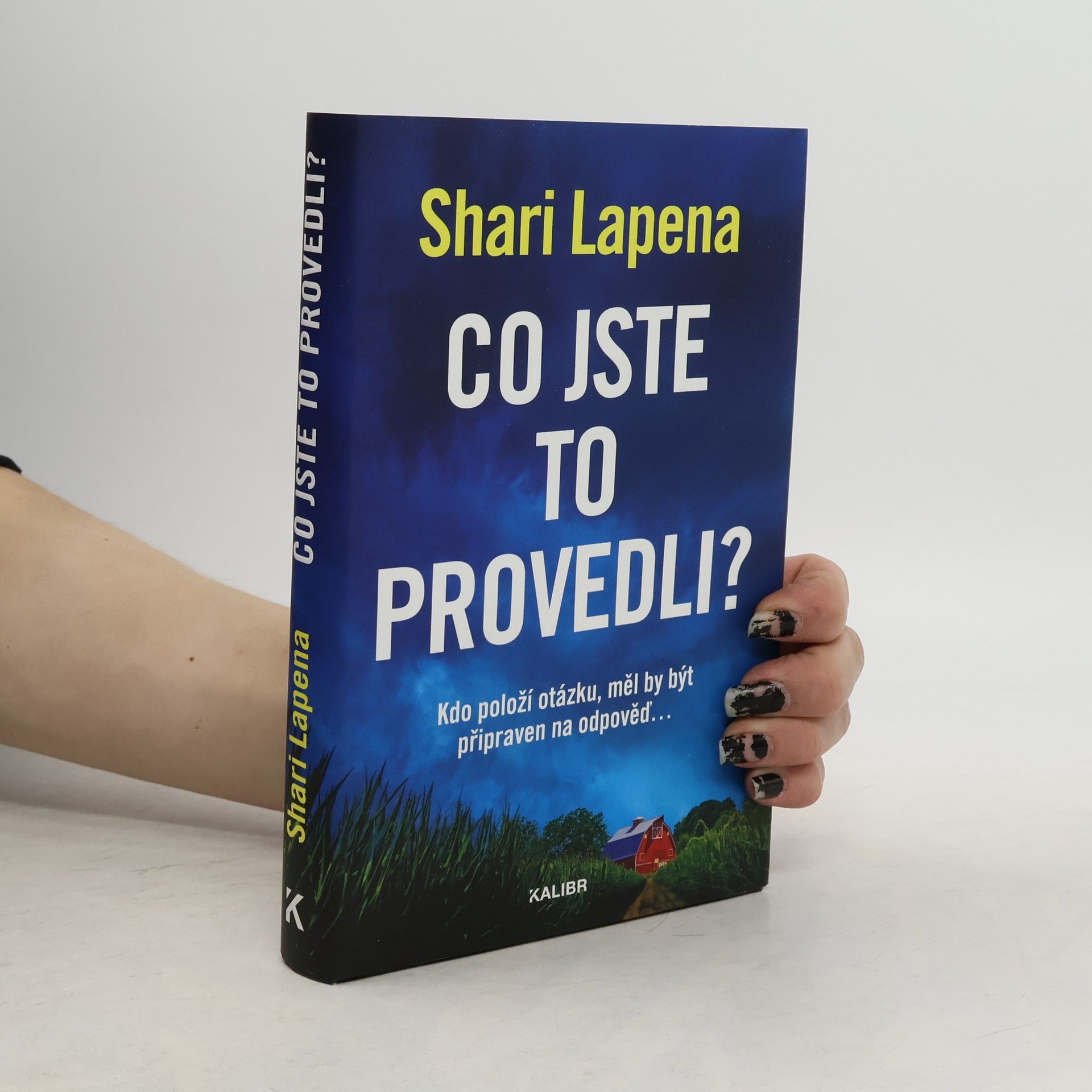 Shari Lapena Co jste to provedli?