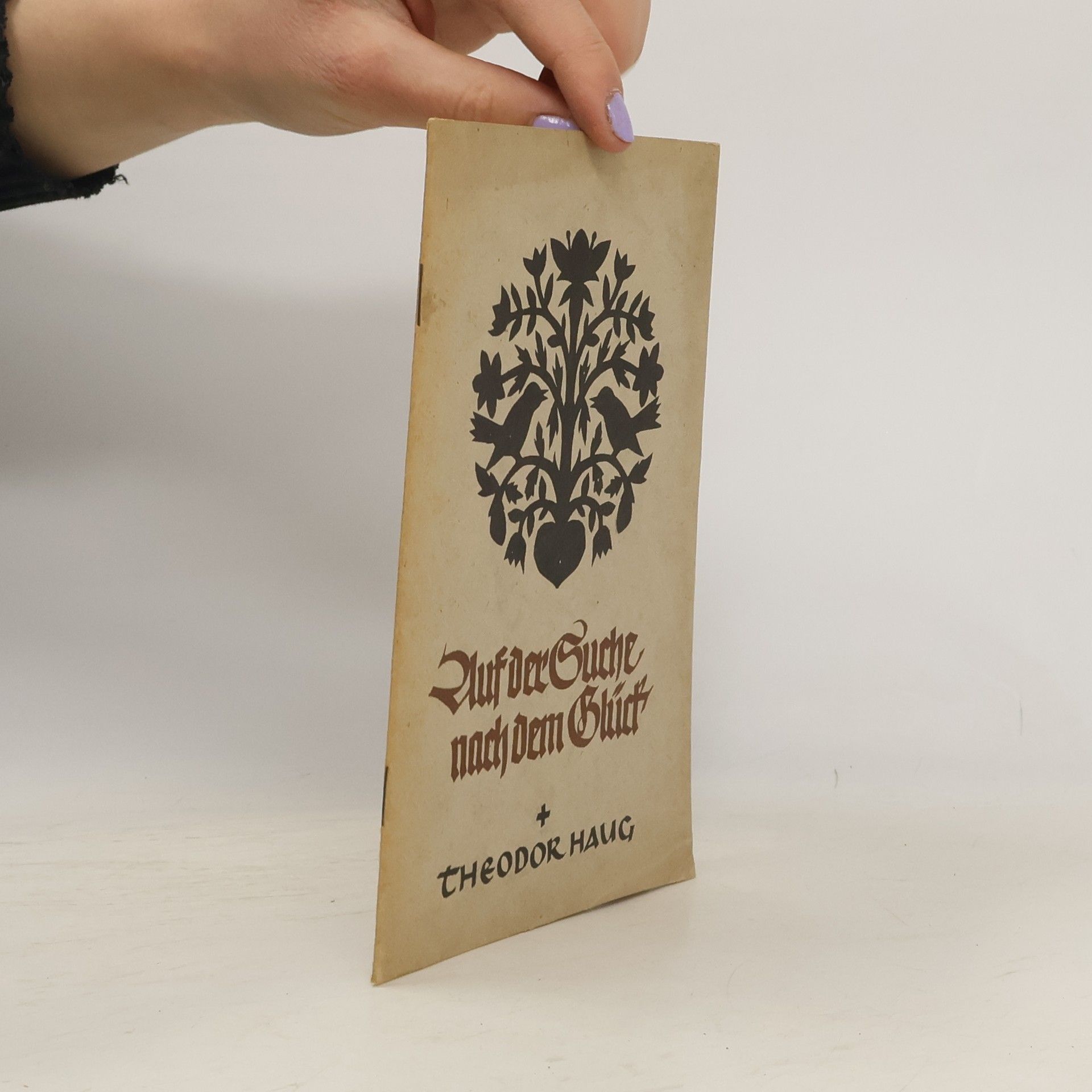 Theodor Haug Auf der Suche nach dem Glück