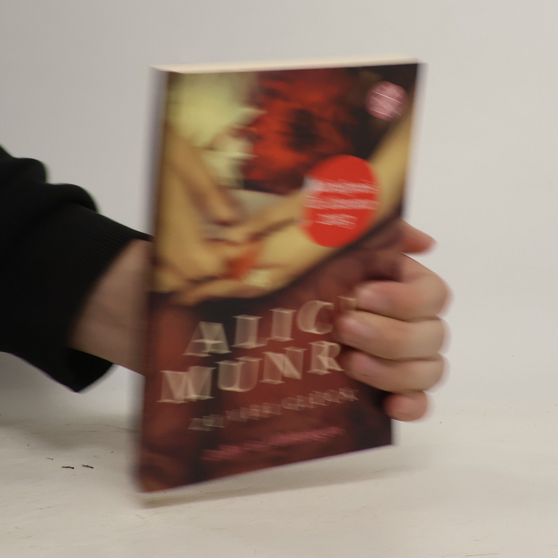Alice Munro Zu viel Glück. zehn erzählungen