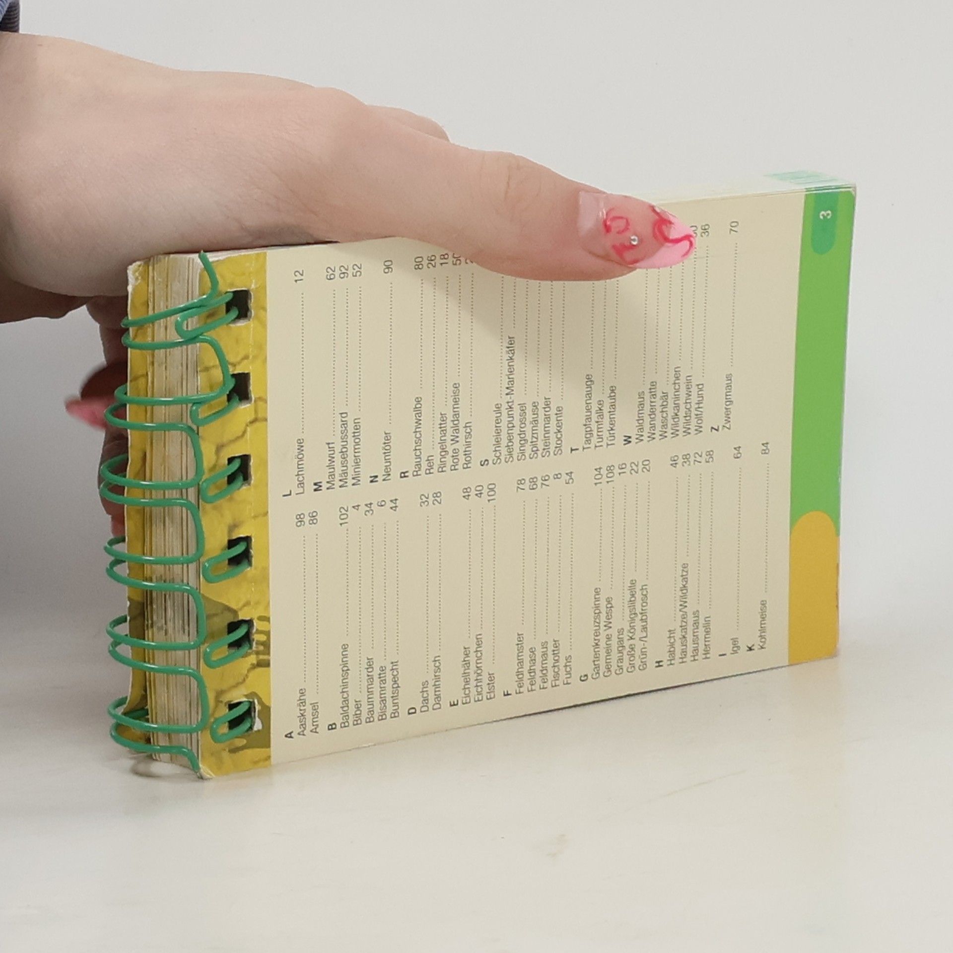 Autorenkollektiv Tierspuren Fährten und Gewölle entdecken und bestimmen