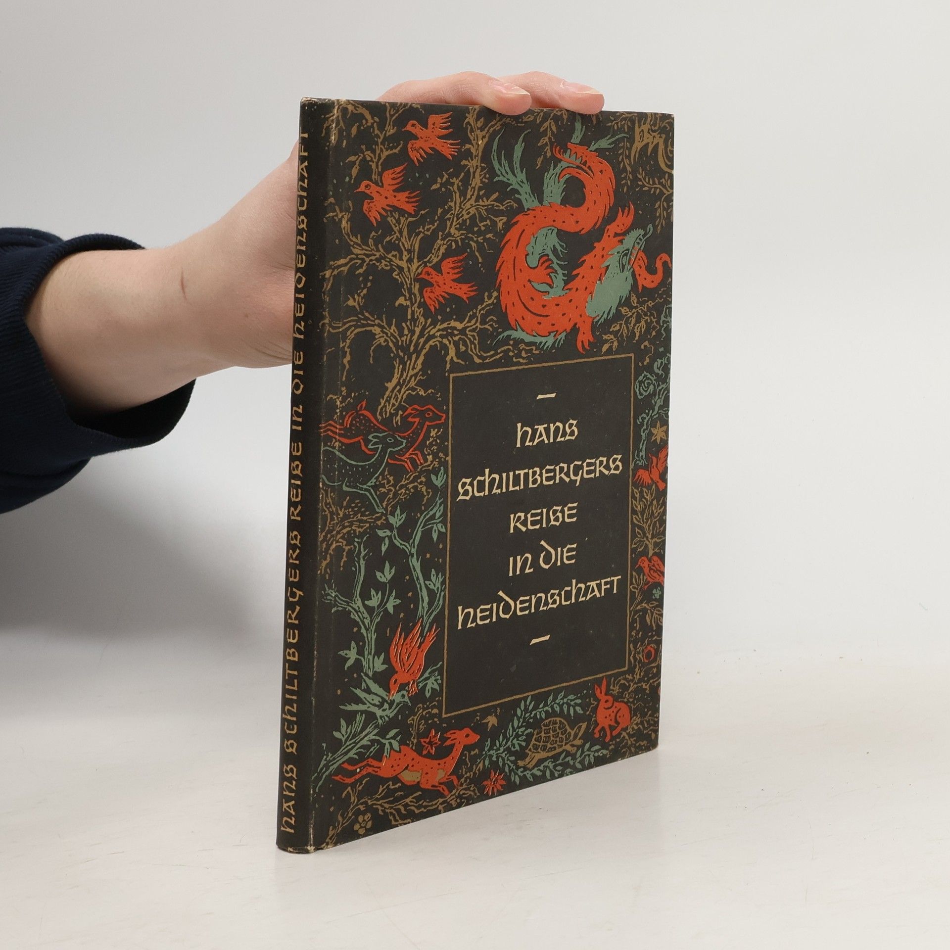 Hans Schiltbergers Reise in die Heidenschaft