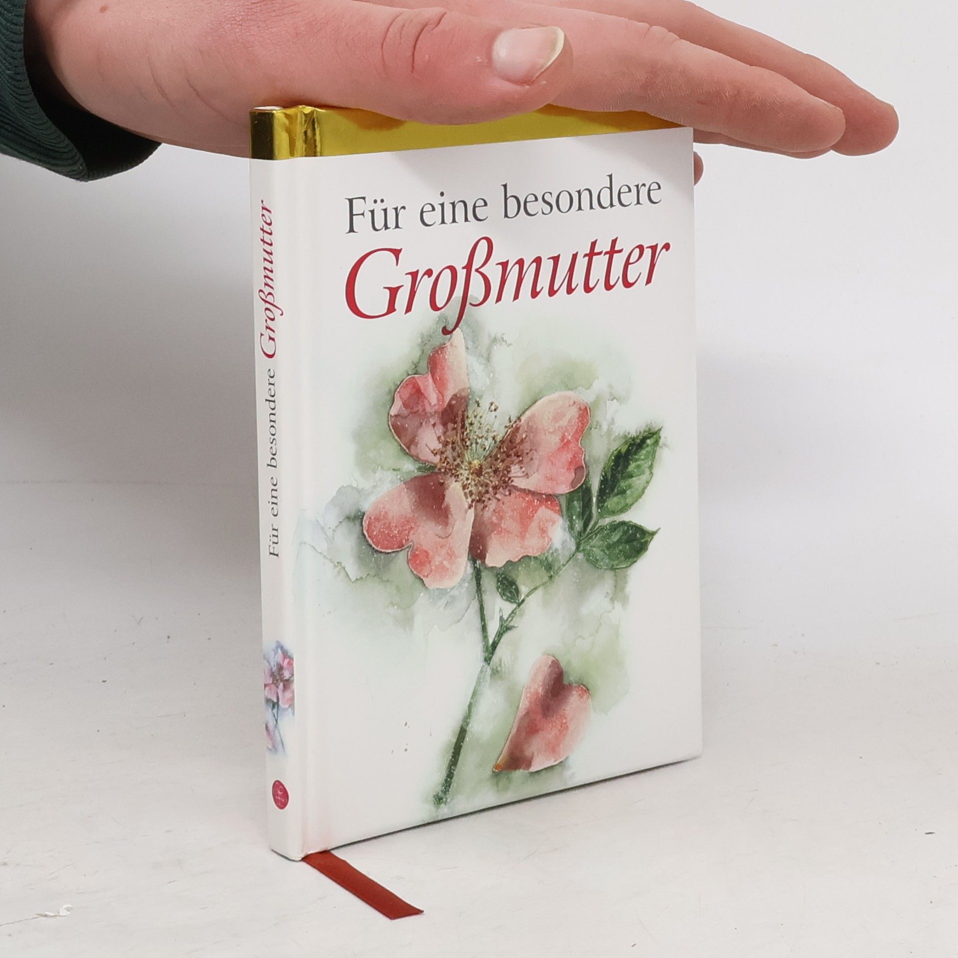 Autorenkollektiv Für eine besondere Großmutter
