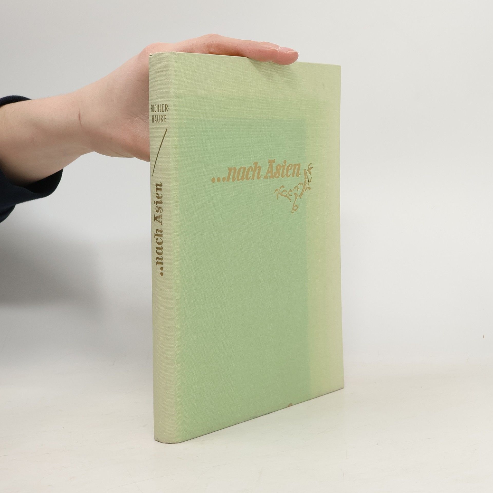 Gustav Fochler-Hauke Nach Asien