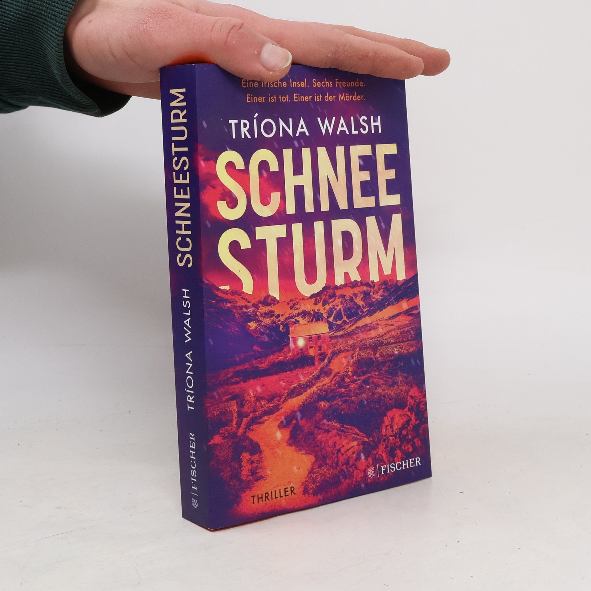 Tríona Walsh Schneesturm