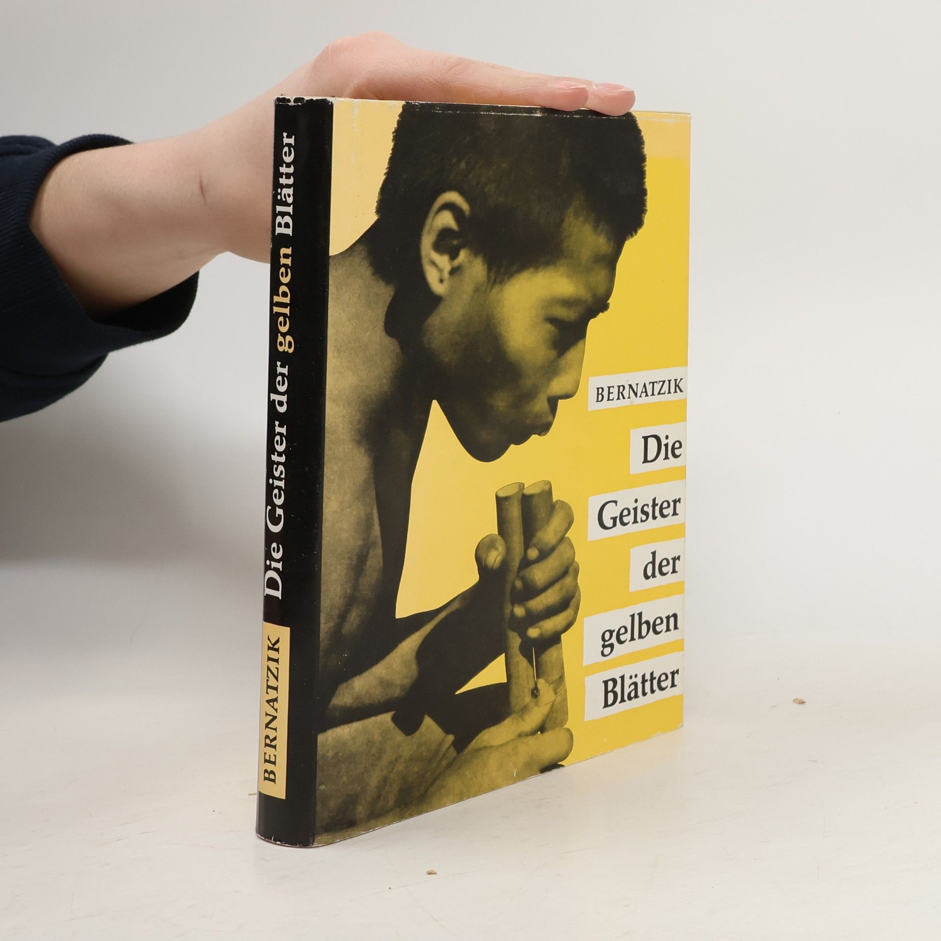 Autorenkollektiv Die Geister der gelben Blätter