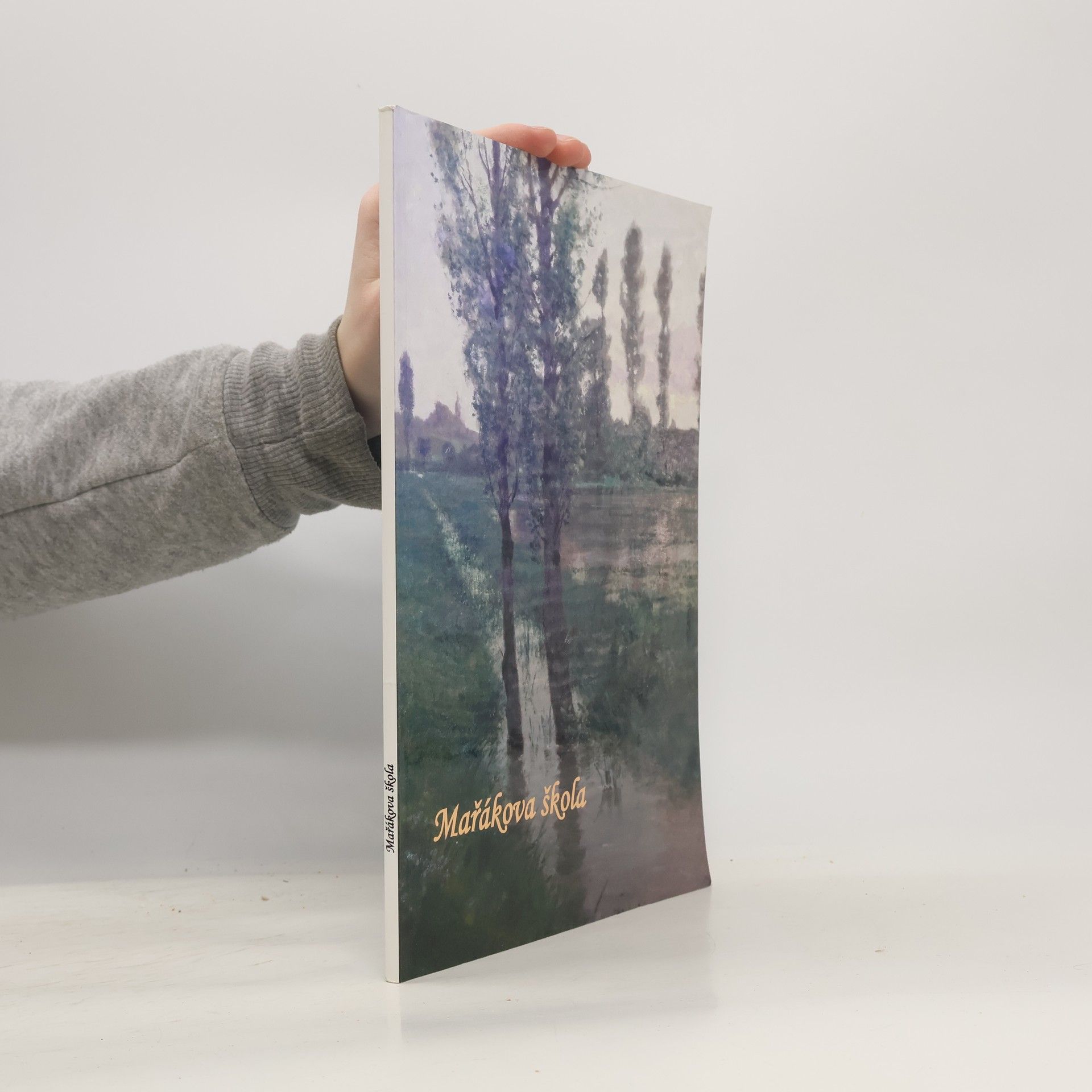 Milan Miklík Mařákova škola